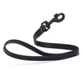 Biothane Waterproof Traffic Lead for Dogs, 2 ft by Dogline