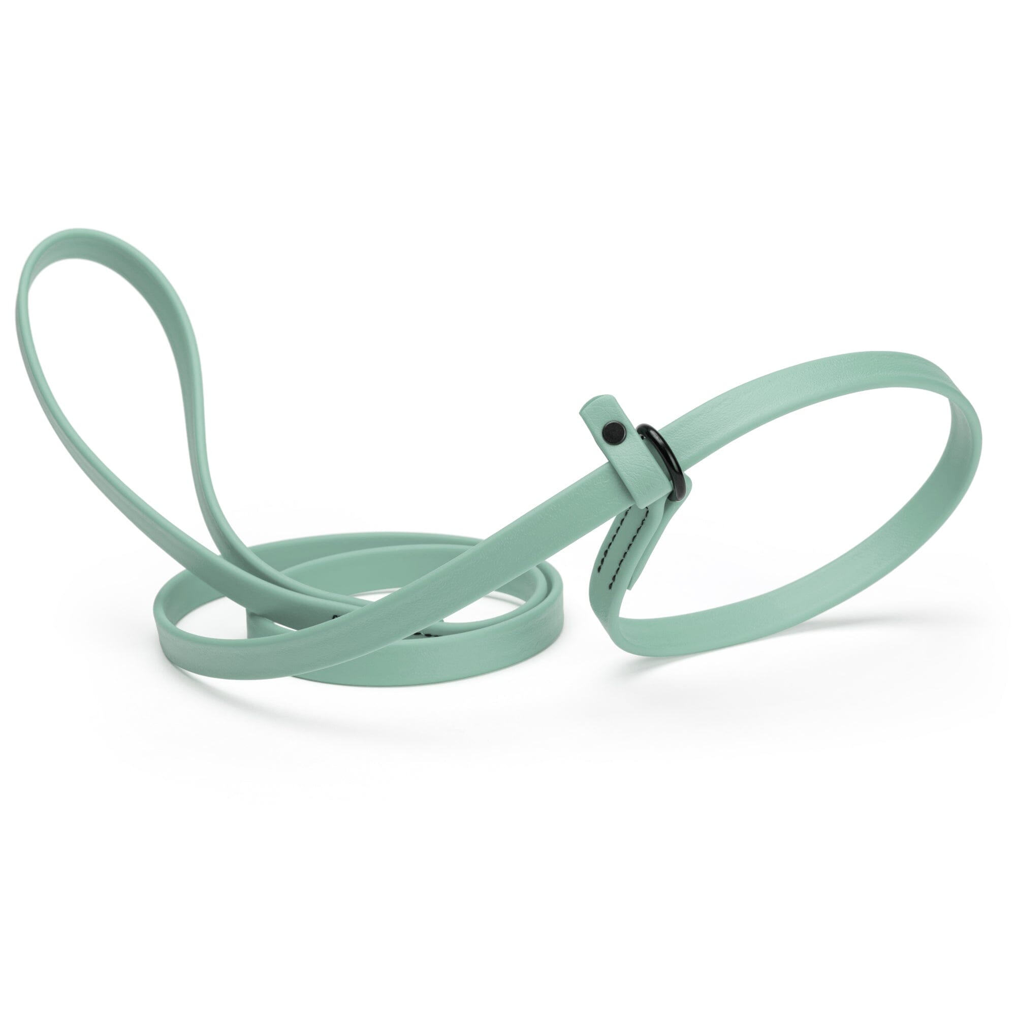 Biothane Slip Lead for Dogs, 5FT and 7FT by Dogline