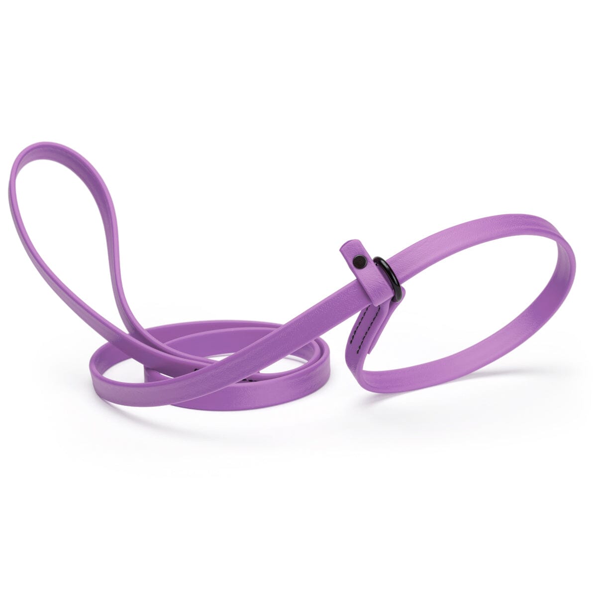 Biothane Slip Lead for Dogs, 5FT and 7FT by Dogline