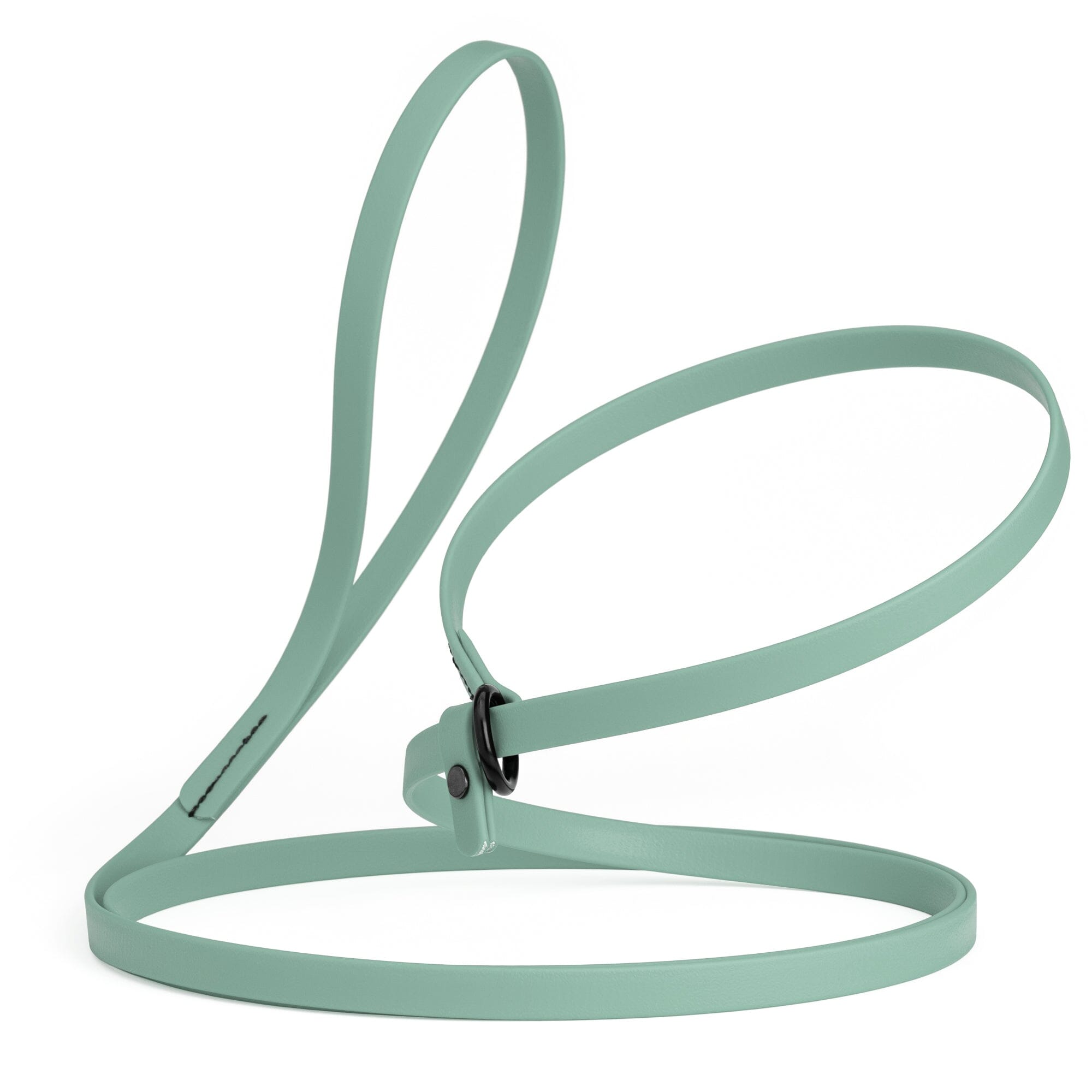 Biothane Slip Lead for Dogs, 5FT and 7FT by Dogline