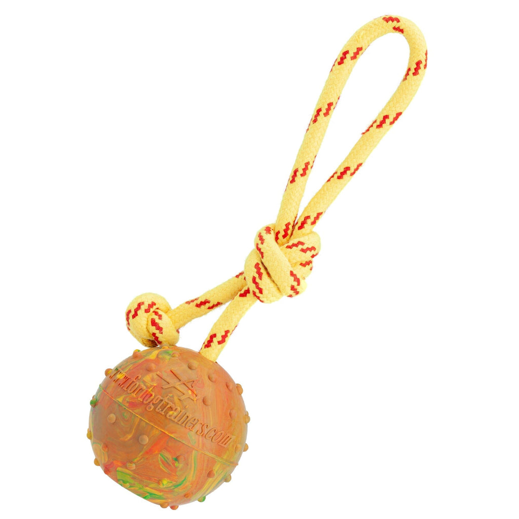 FDT Solid Rubber Dog Ball on Rope, Large - Diameter 2.75" (7 cm) by Dogline