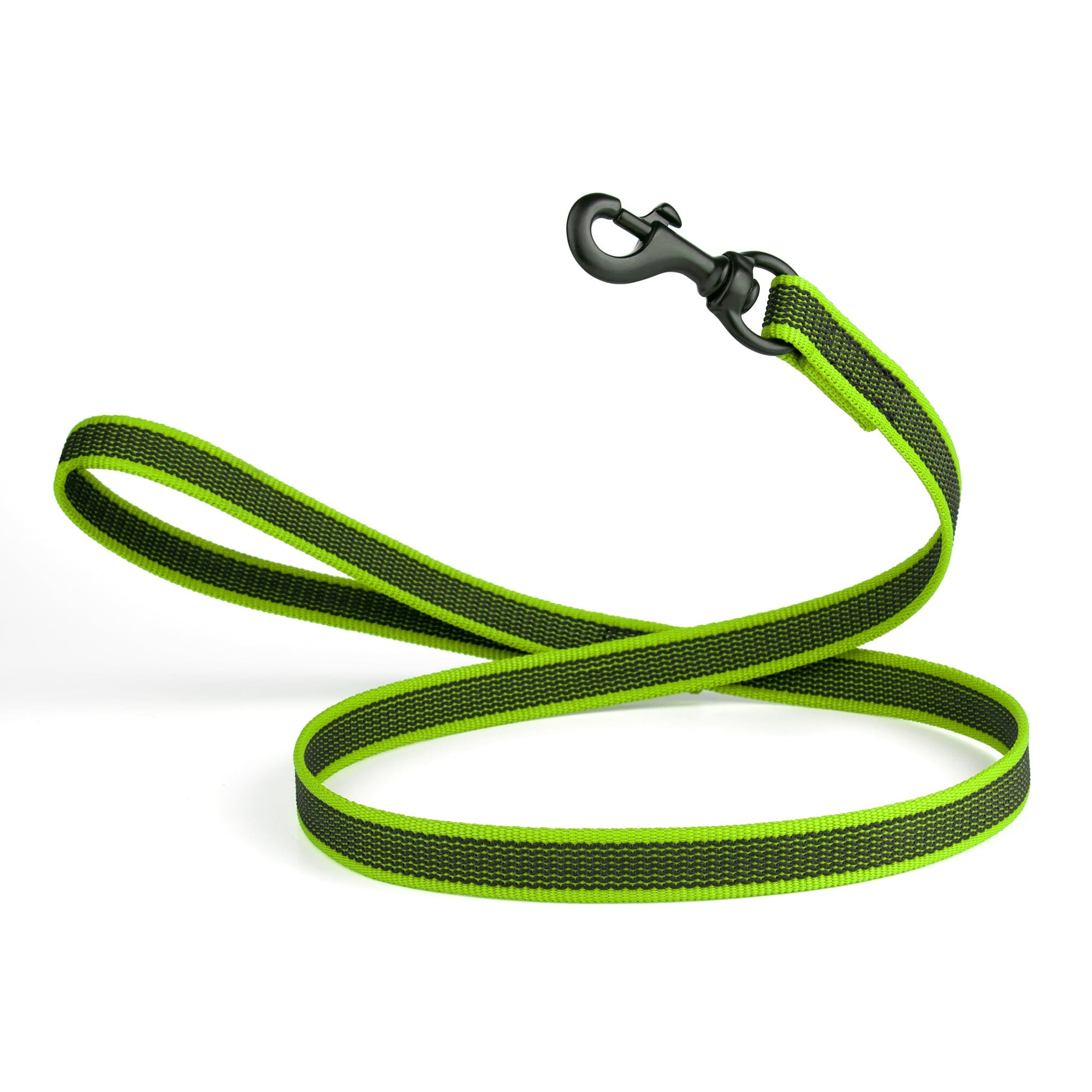 Rubber Infused Nylon Dog Leash by Dogline