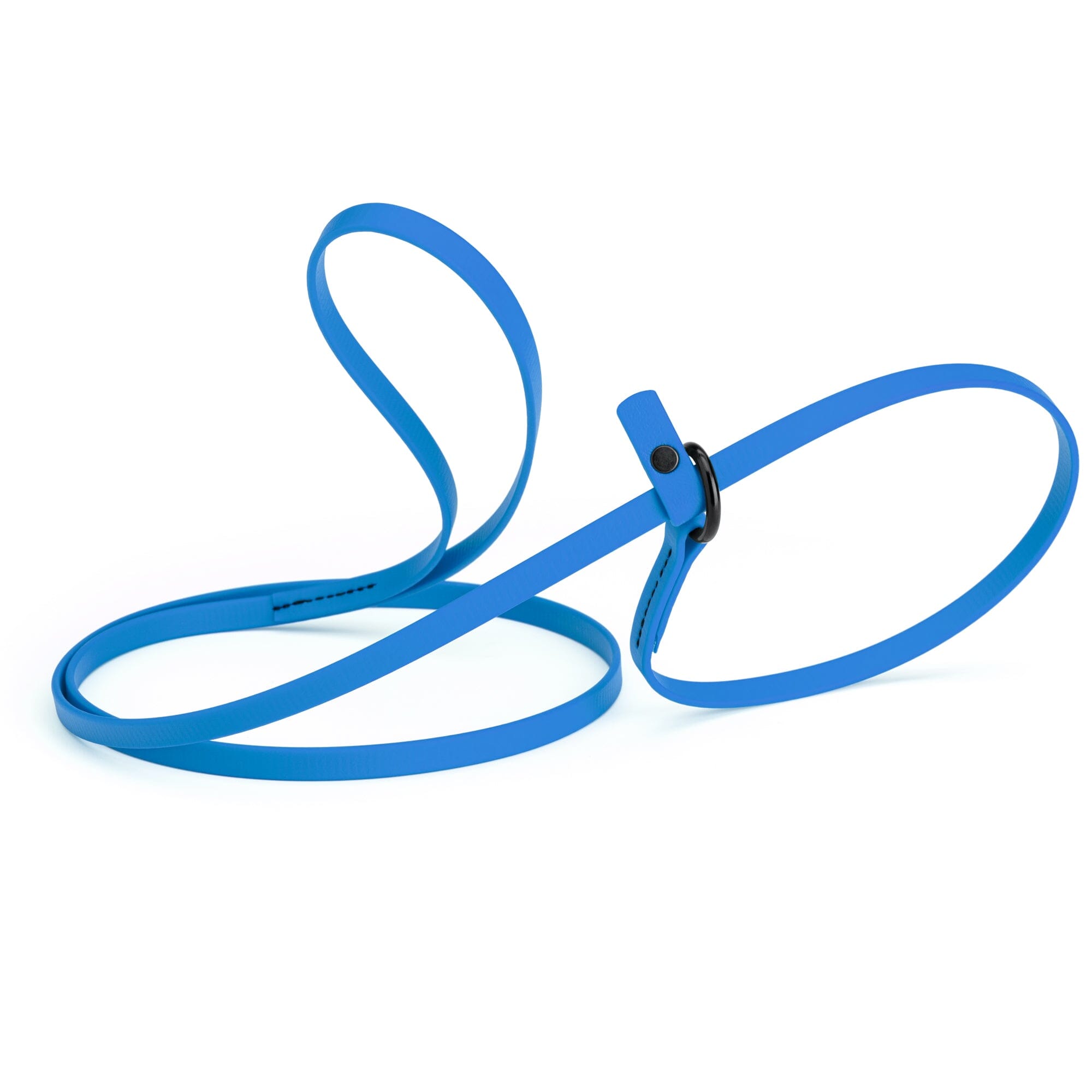 Biothane Slip Lead for Dogs, 5FT and 7FT by Dogline