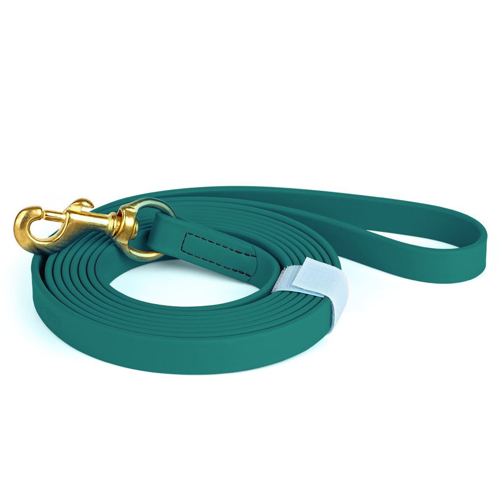 Viper Biothane Long Line 33 ft Lead with Brass Hardware by Dogline
