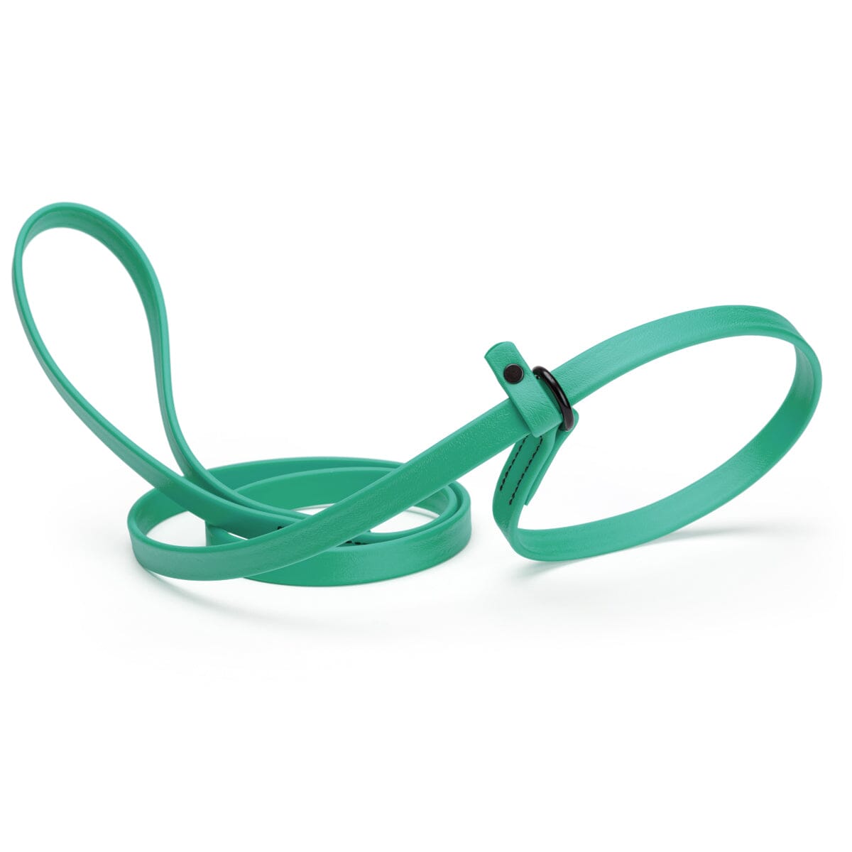 Biothane Slip Lead for Dogs, 5FT and 7FT by Dogline