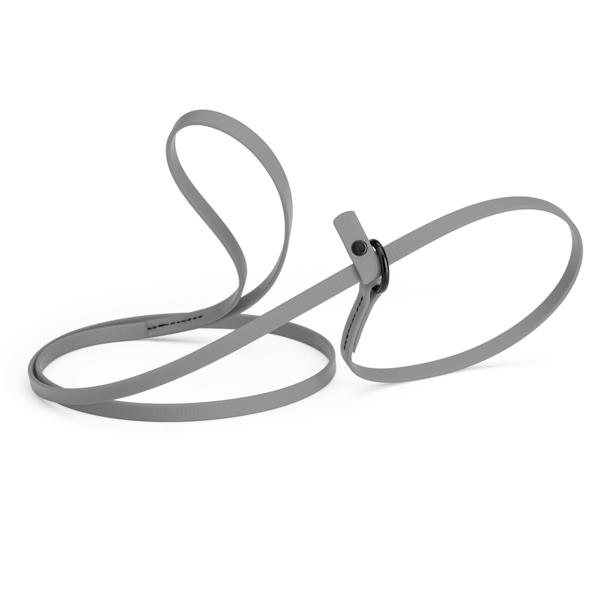 Biothane Slip Lead for Dogs, 5FT and 7FT by Dogline