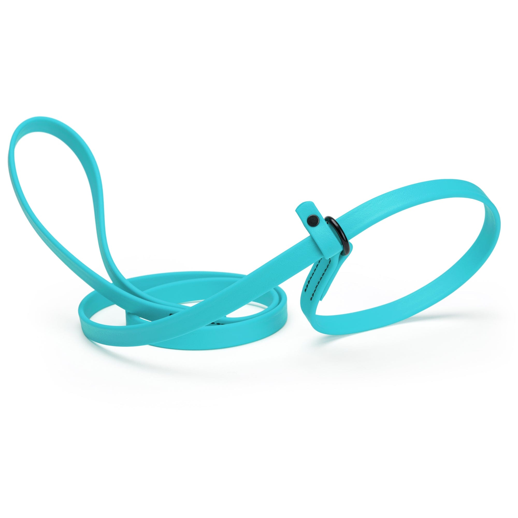 Biothane Slip Lead for Dogs, 5FT and 7FT by Dogline