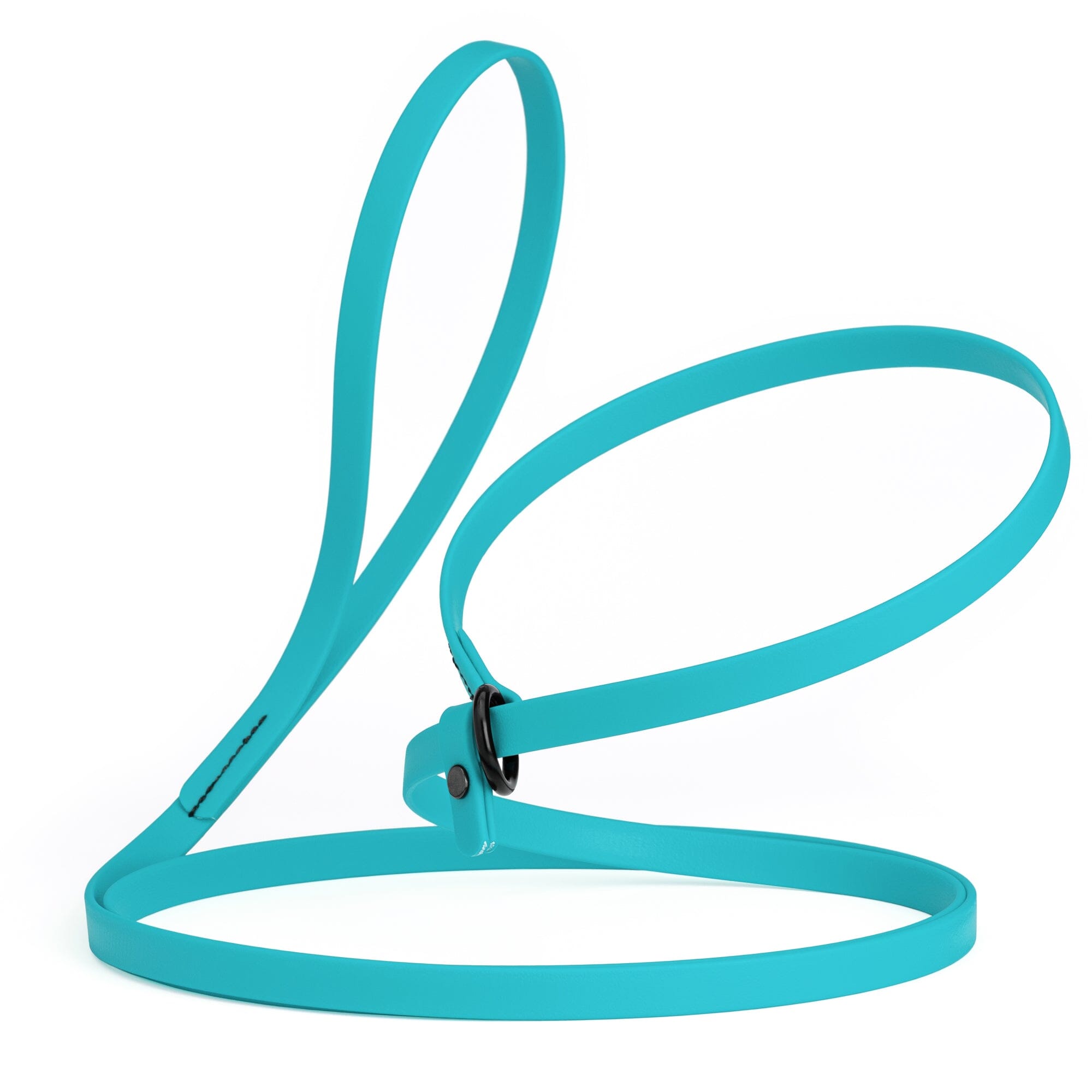 Biothane Slip Lead for Dogs, 5FT and 7FT by Dogline