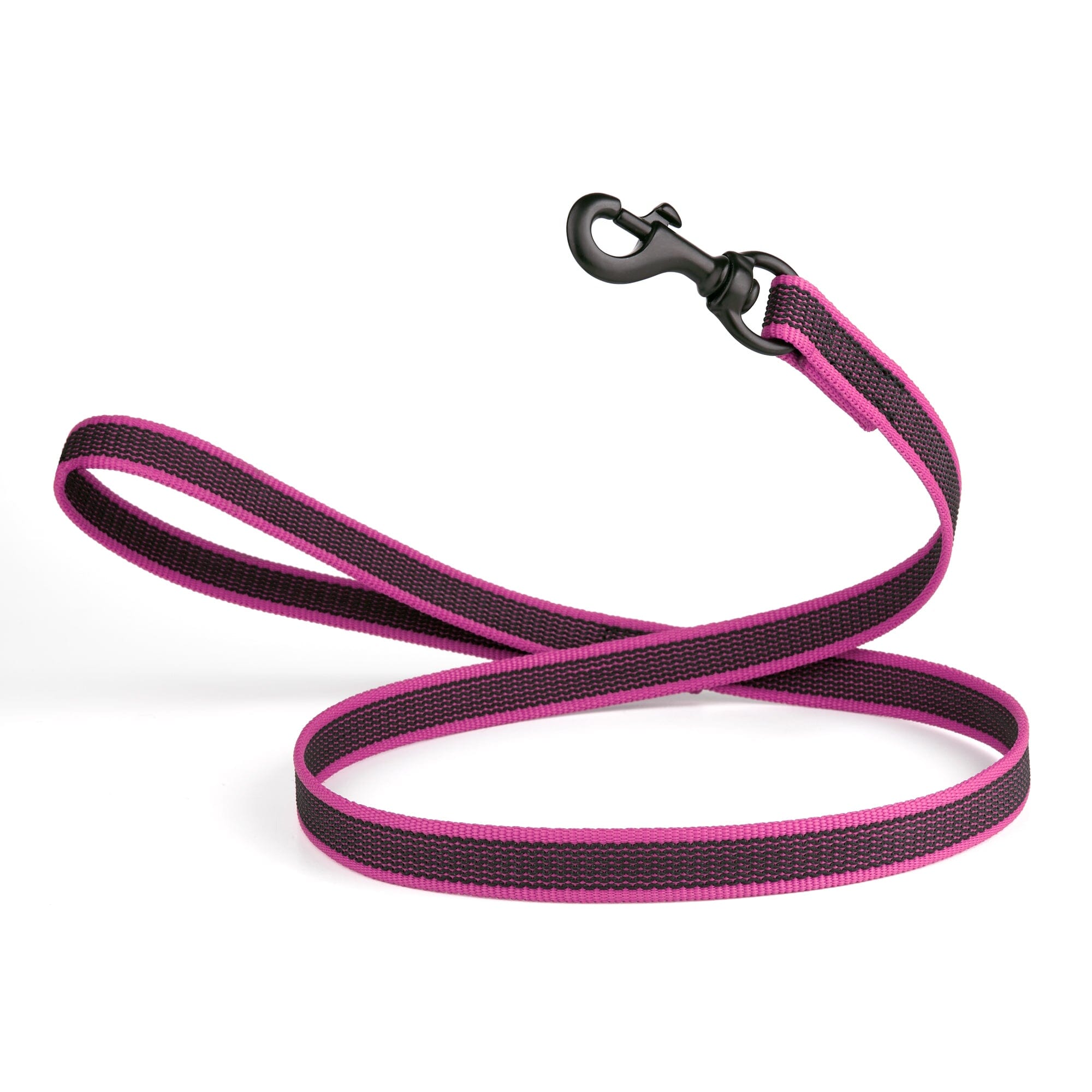 Rubber Infused Nylon Dog Leash by Dogline