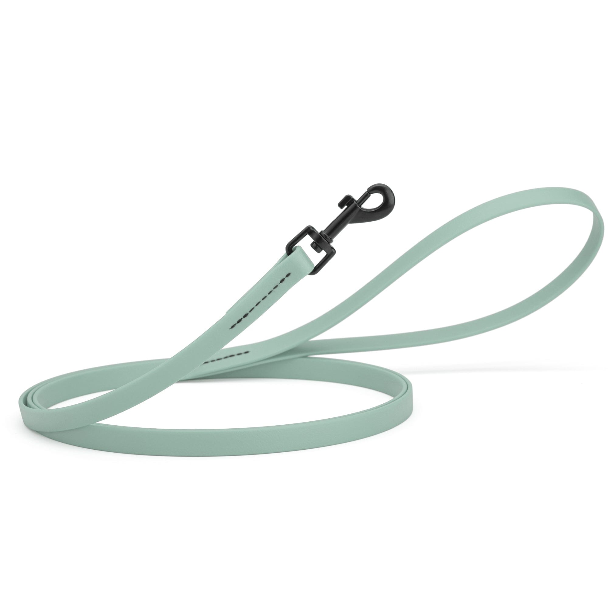 Biothane Waterproof Dog Leash, 4 ft by Dogline
