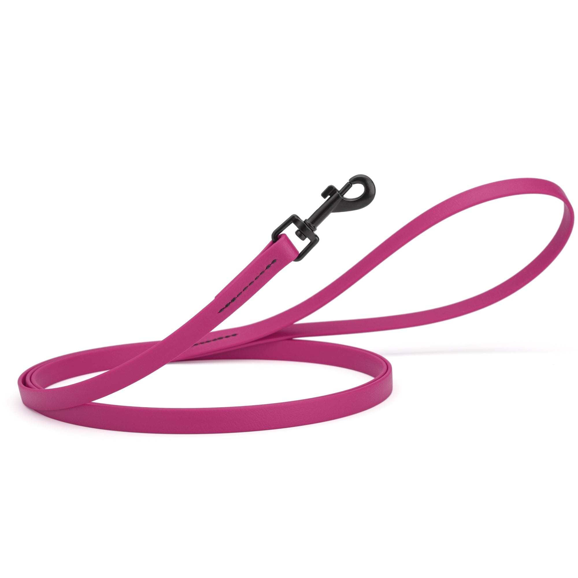 Biothane Waterproof Dog Leash, 4 ft by Dogline