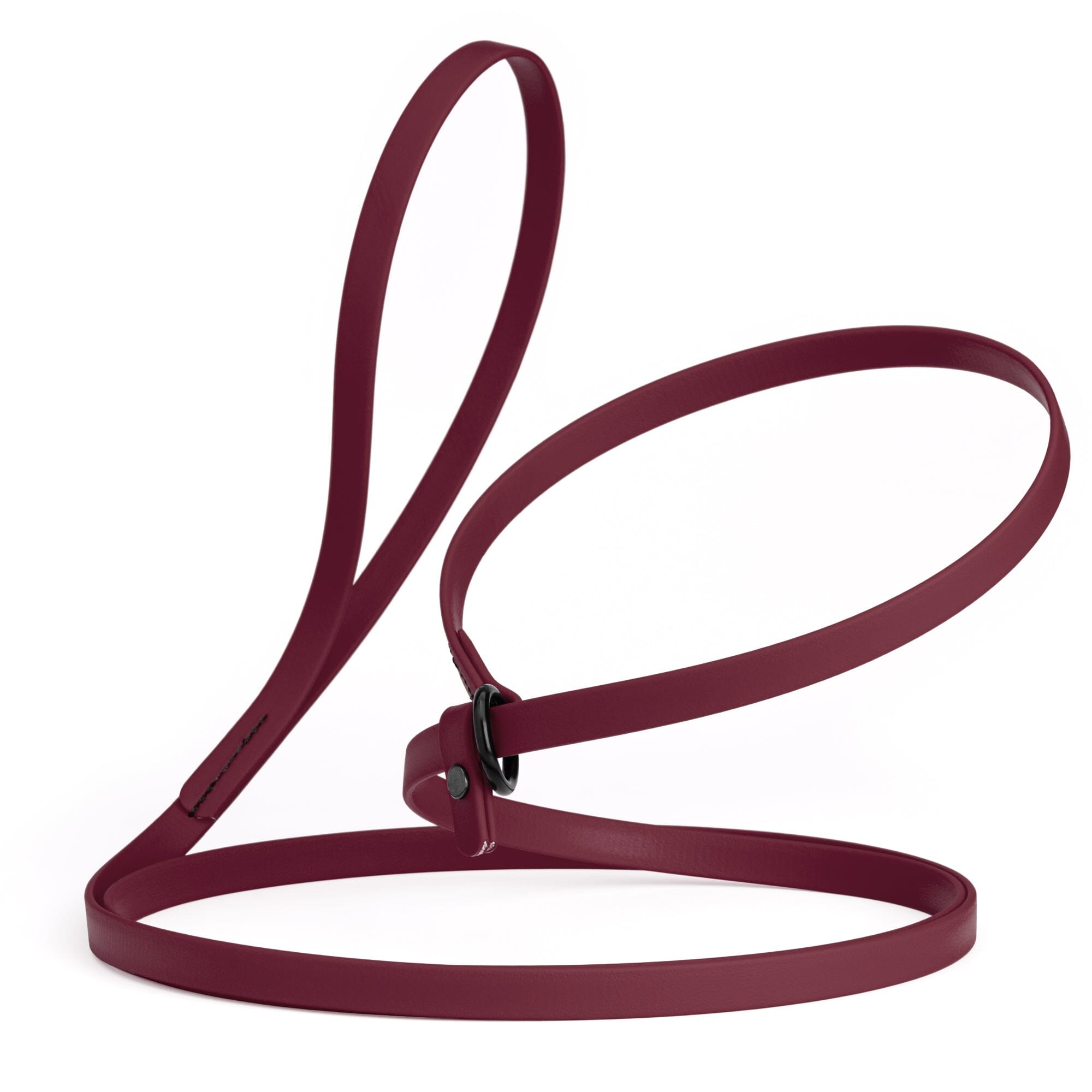 Biothane Slip Lead for Dogs, 5FT and 7FT by Dogline