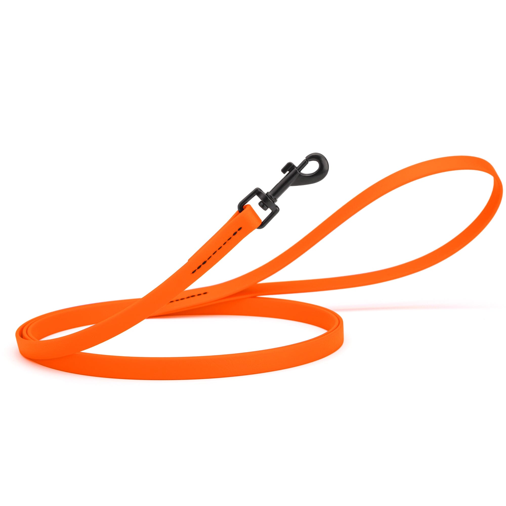 Biothane Waterproof Dog Leash, 4 ft by Dogline
