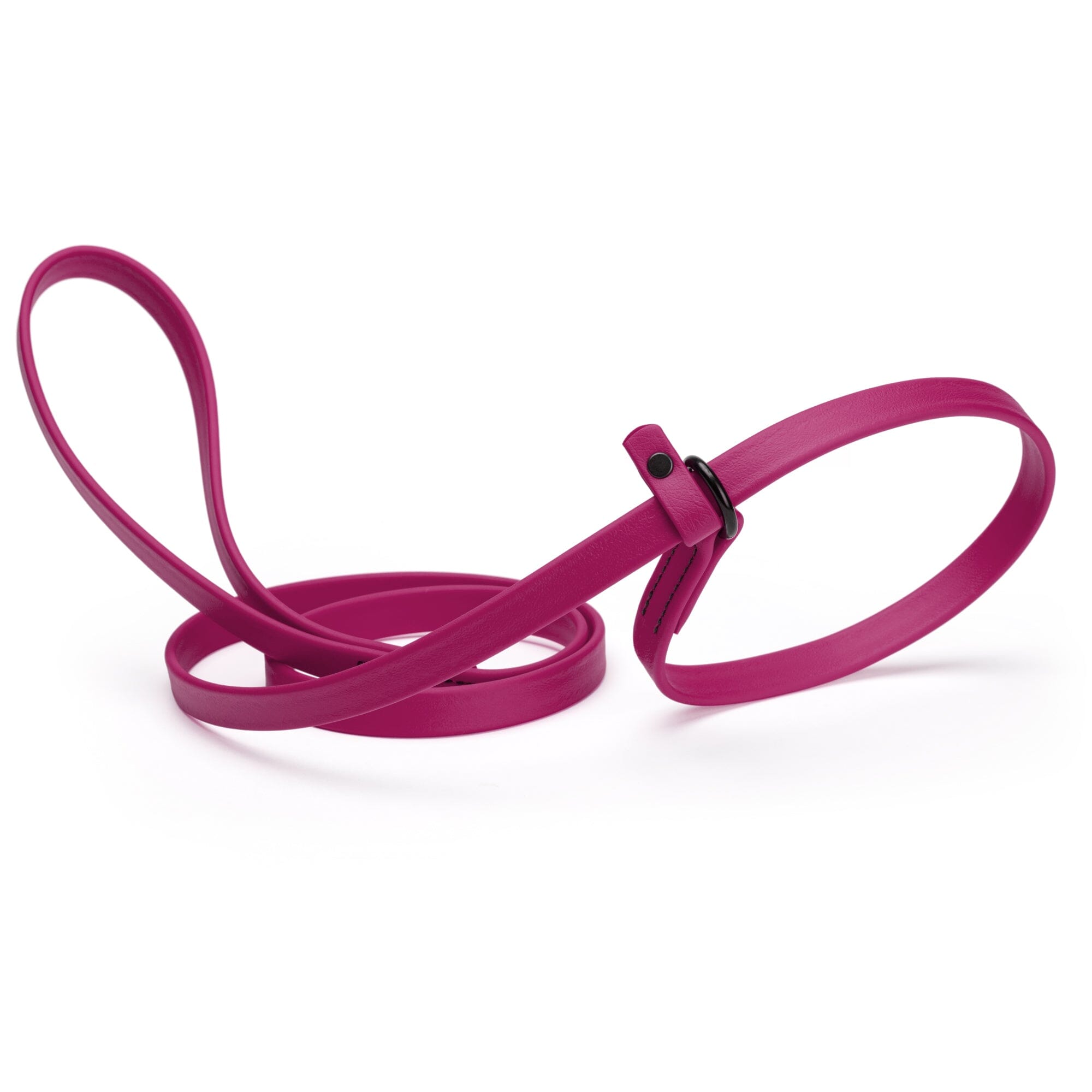 Biothane Slip Lead for Dogs, 5FT and 7FT by Dogline
