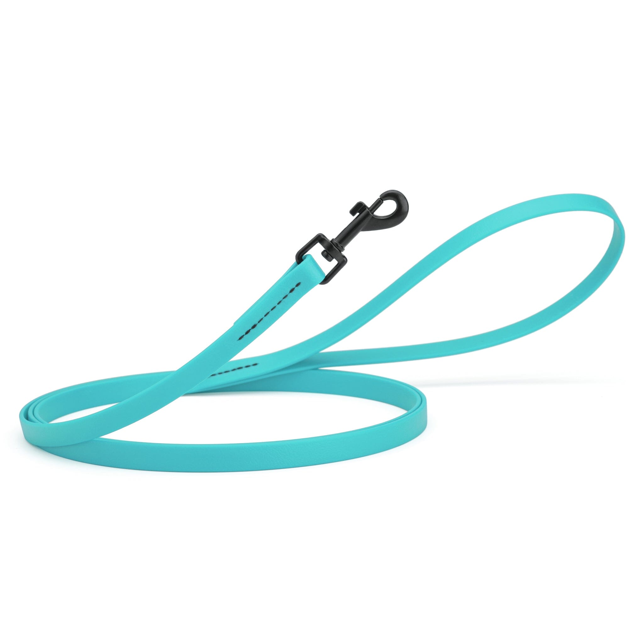 Biothane Waterproof Dog Leash, 4 ft by Dogline