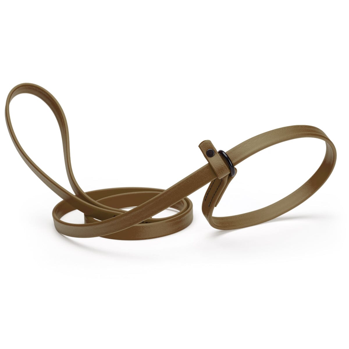 Biothane Slip Lead for Dogs, 5FT and 7FT by Dogline