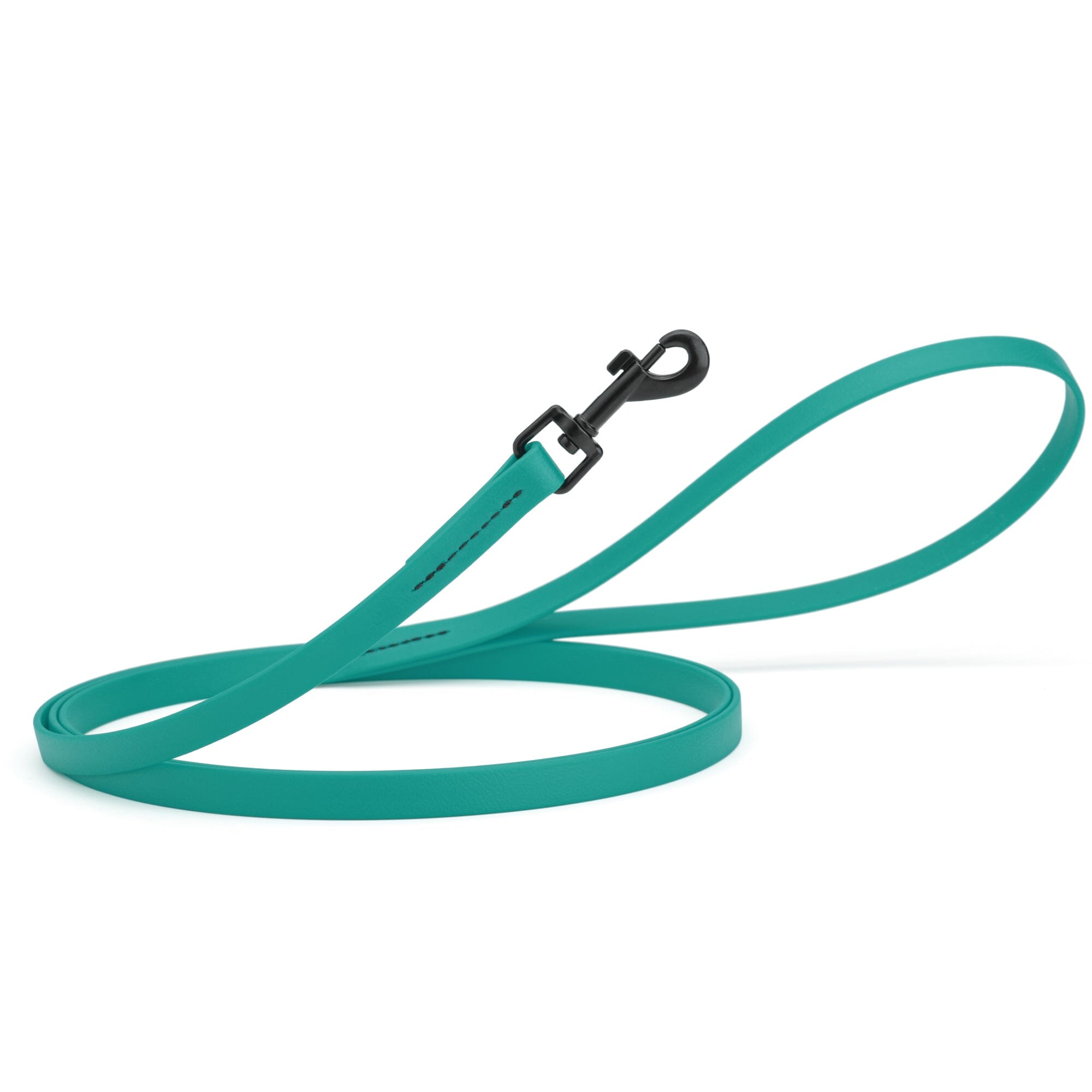 Biothane Waterproof Dog Leash, 4 ft by Dogline