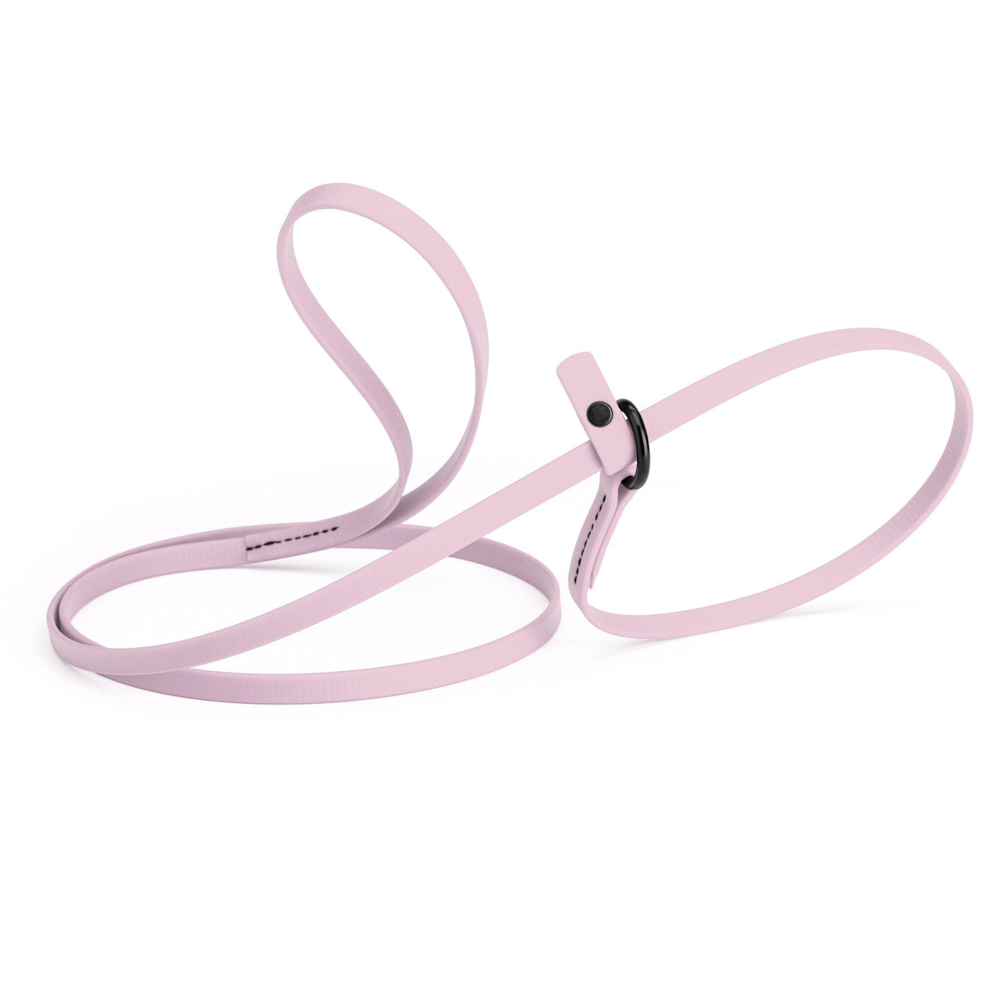 Biothane Slip Lead for Dogs, 5FT and 7FT by Dogline