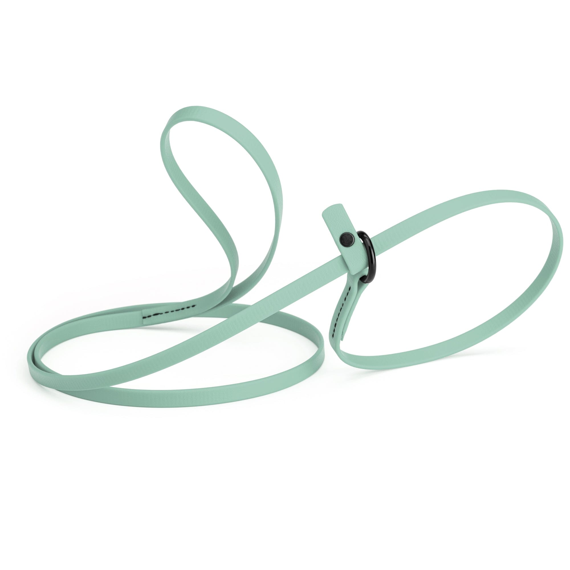 Biothane Slip Lead for Dogs, 5FT and 7FT by Dogline