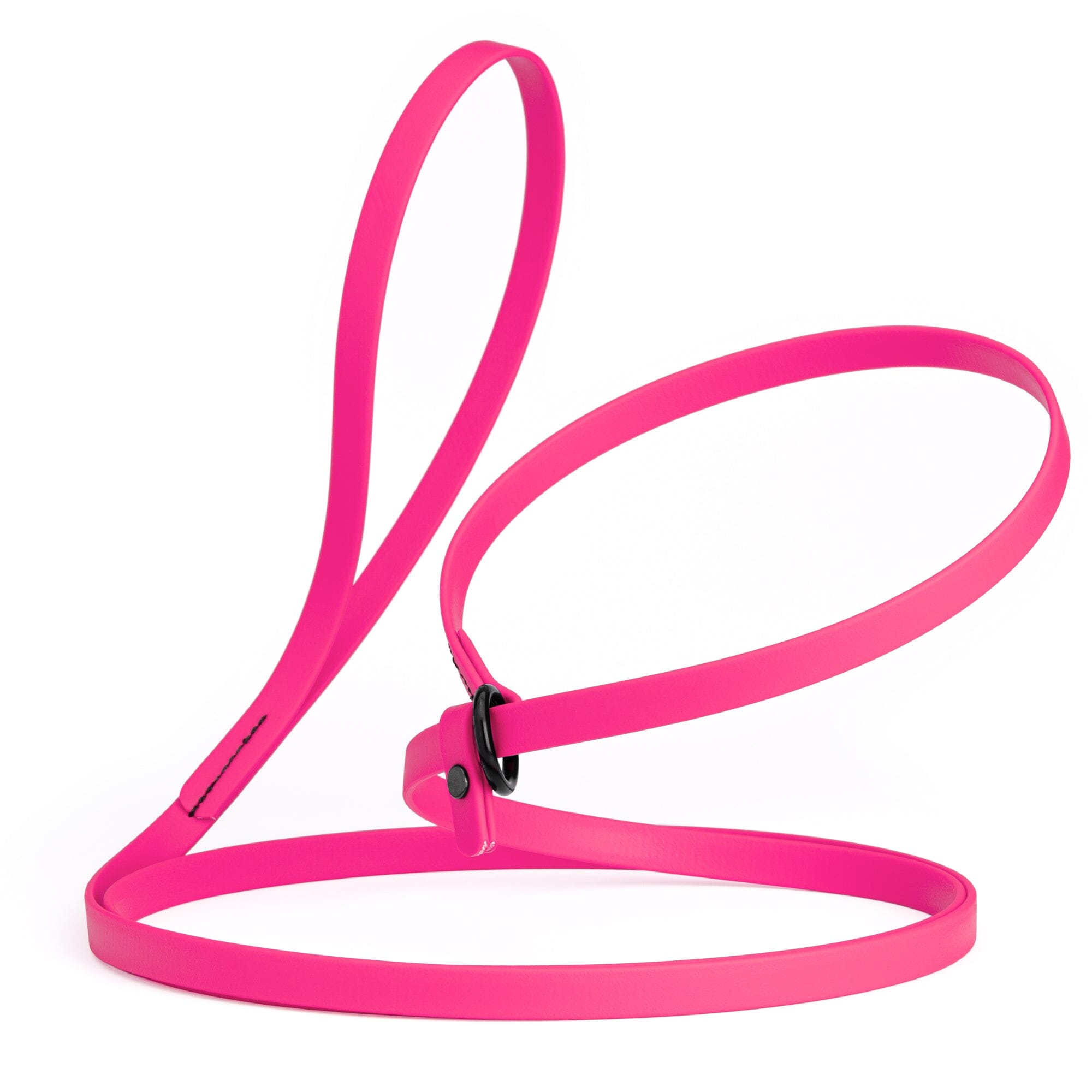 Biothane Slip Lead for Dogs, 5FT and 7FT by Dogline