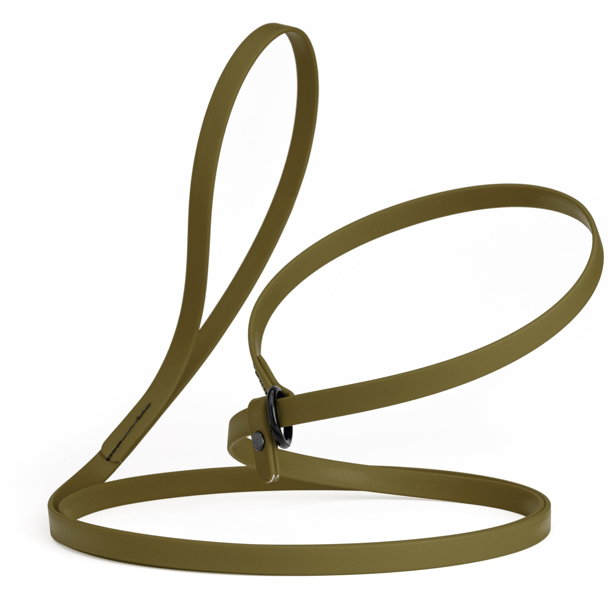 Biothane Slip Lead for Dogs, 5FT and 7FT by Dogline