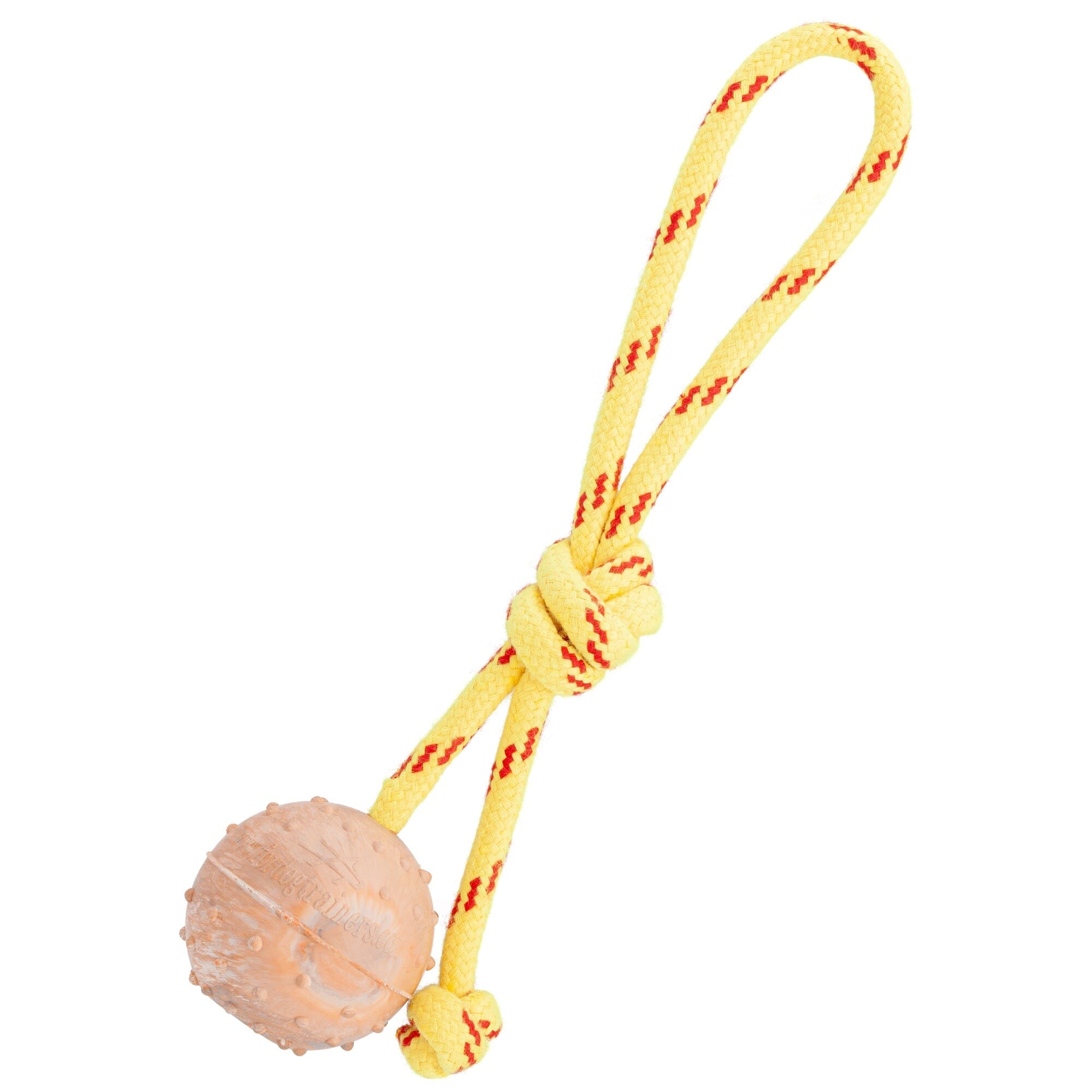 FDT Rubber Dog Ball on Rope, Small - Diameter 2" (5 cm) by Dogline