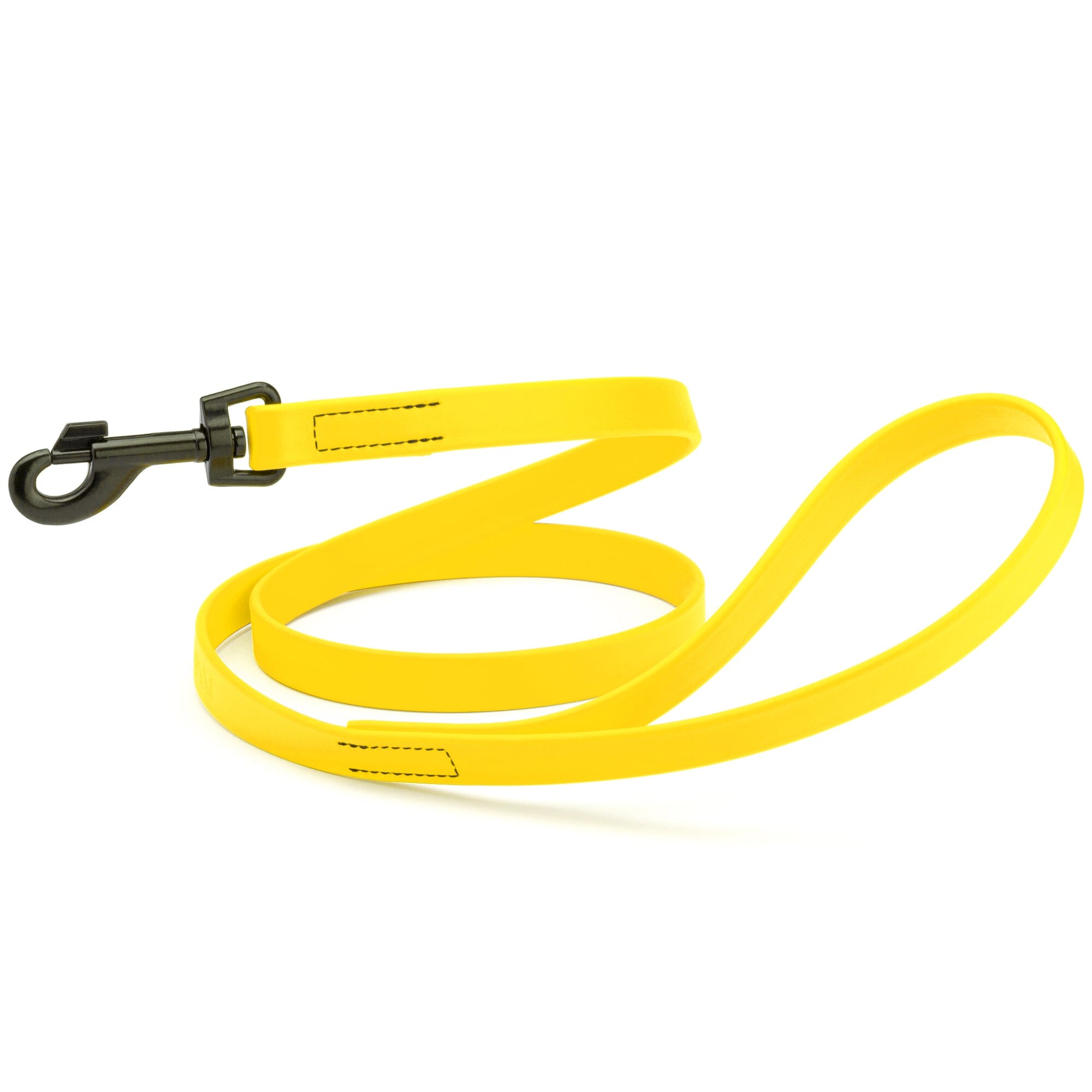 Biothane Waterproof Dog Leash, 4 ft by Dogline