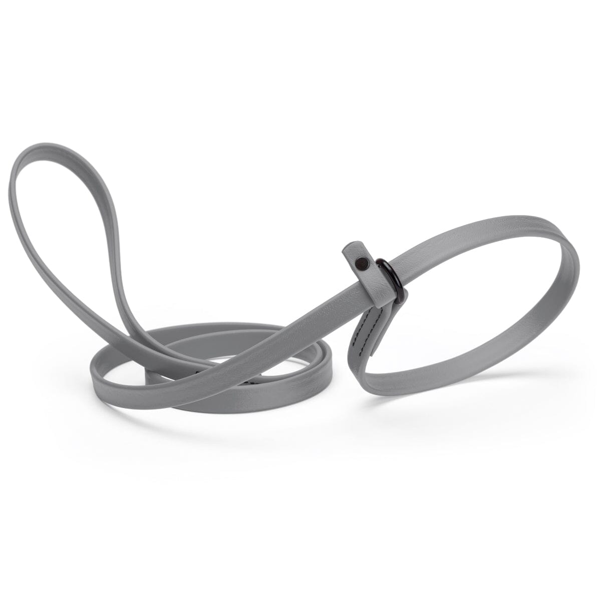 Biothane Slip Lead for Dogs, 5FT and 7FT by Dogline