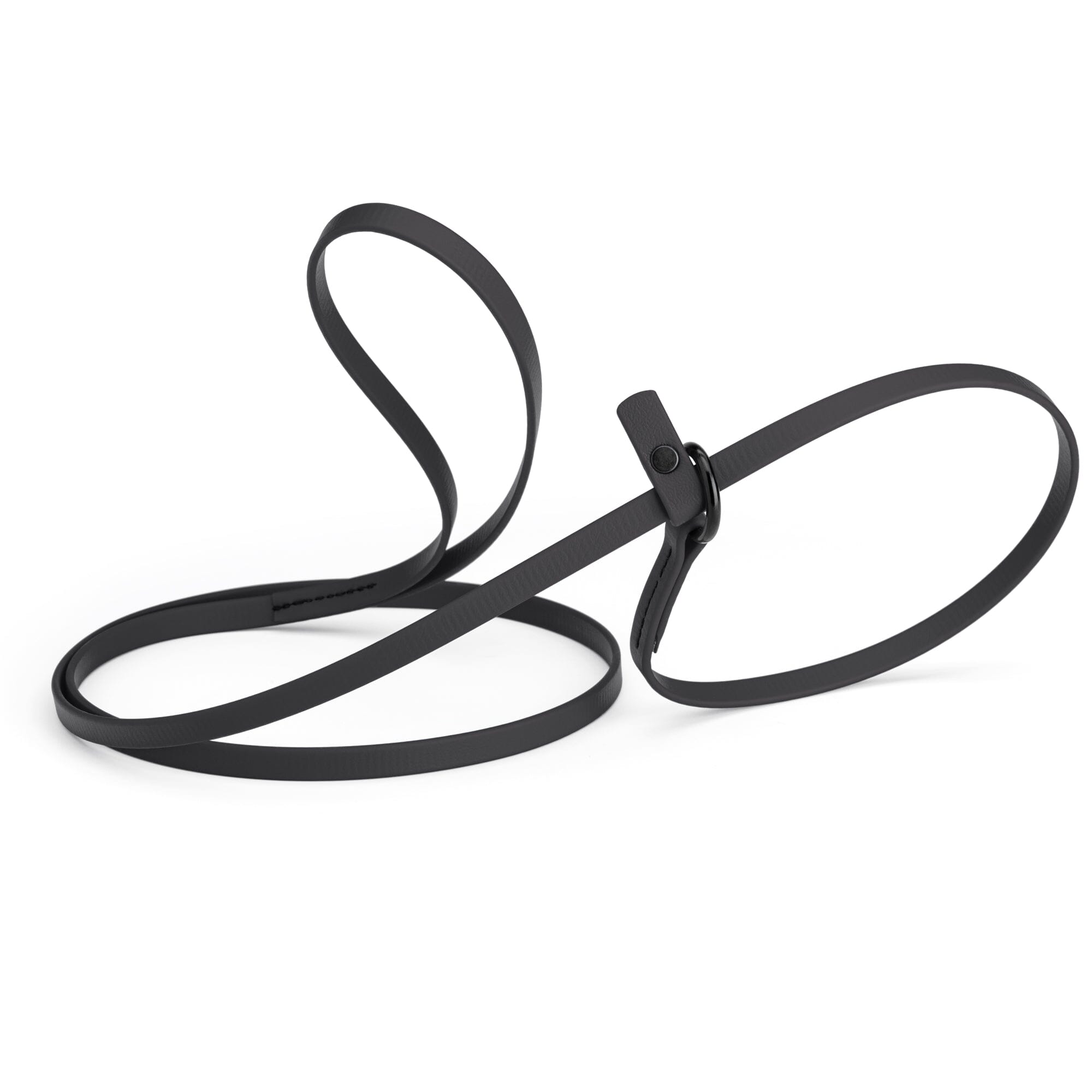 Biothane Slip Lead for Dogs, 5FT and 7FT by Dogline