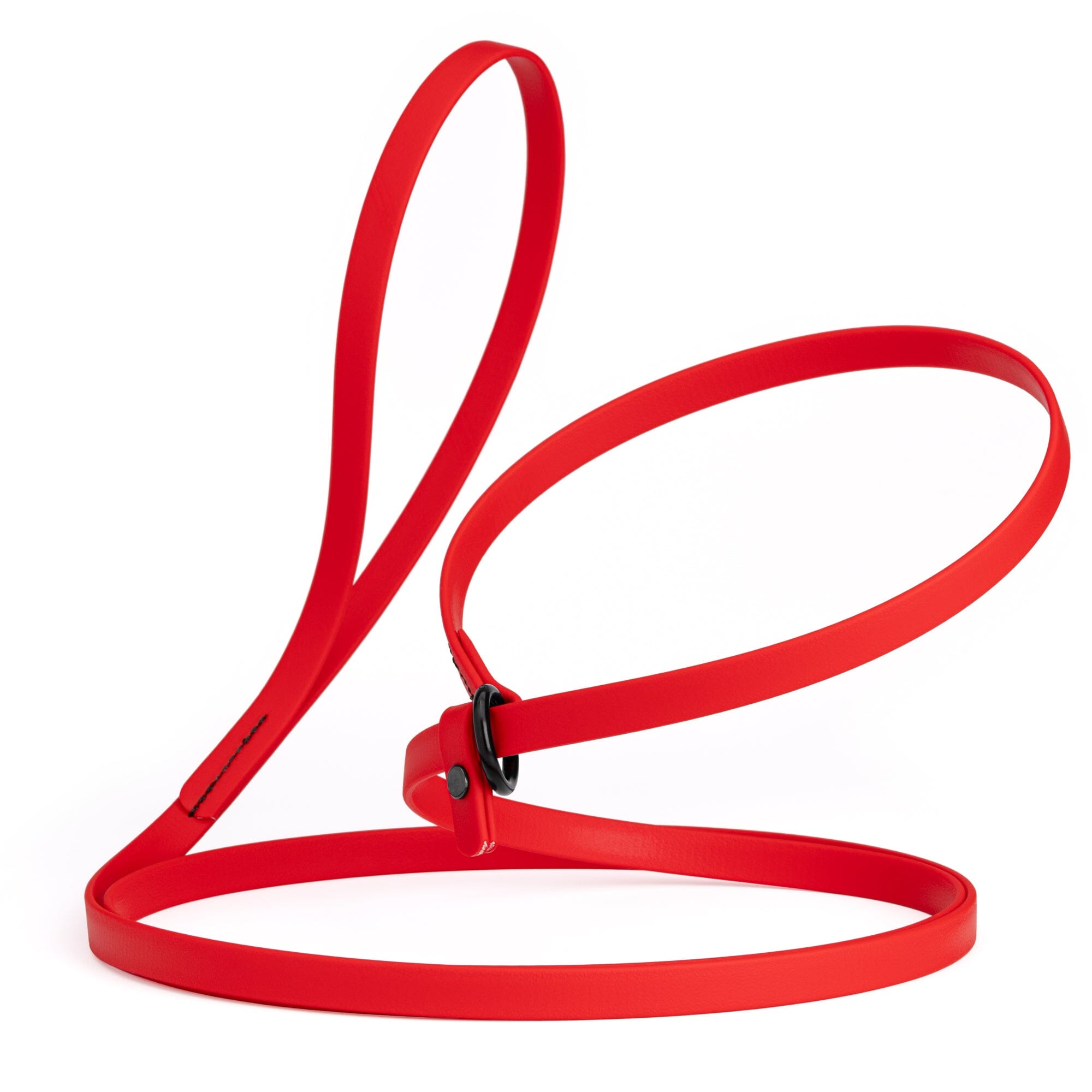 Biothane Slip Lead for Dogs, 5FT and 7FT by Dogline