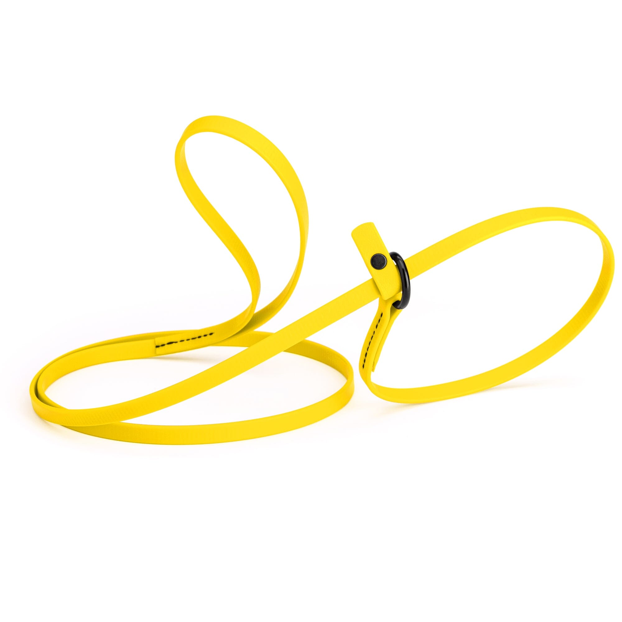 Biothane Slip Lead for Dogs, 5FT and 7FT by Dogline