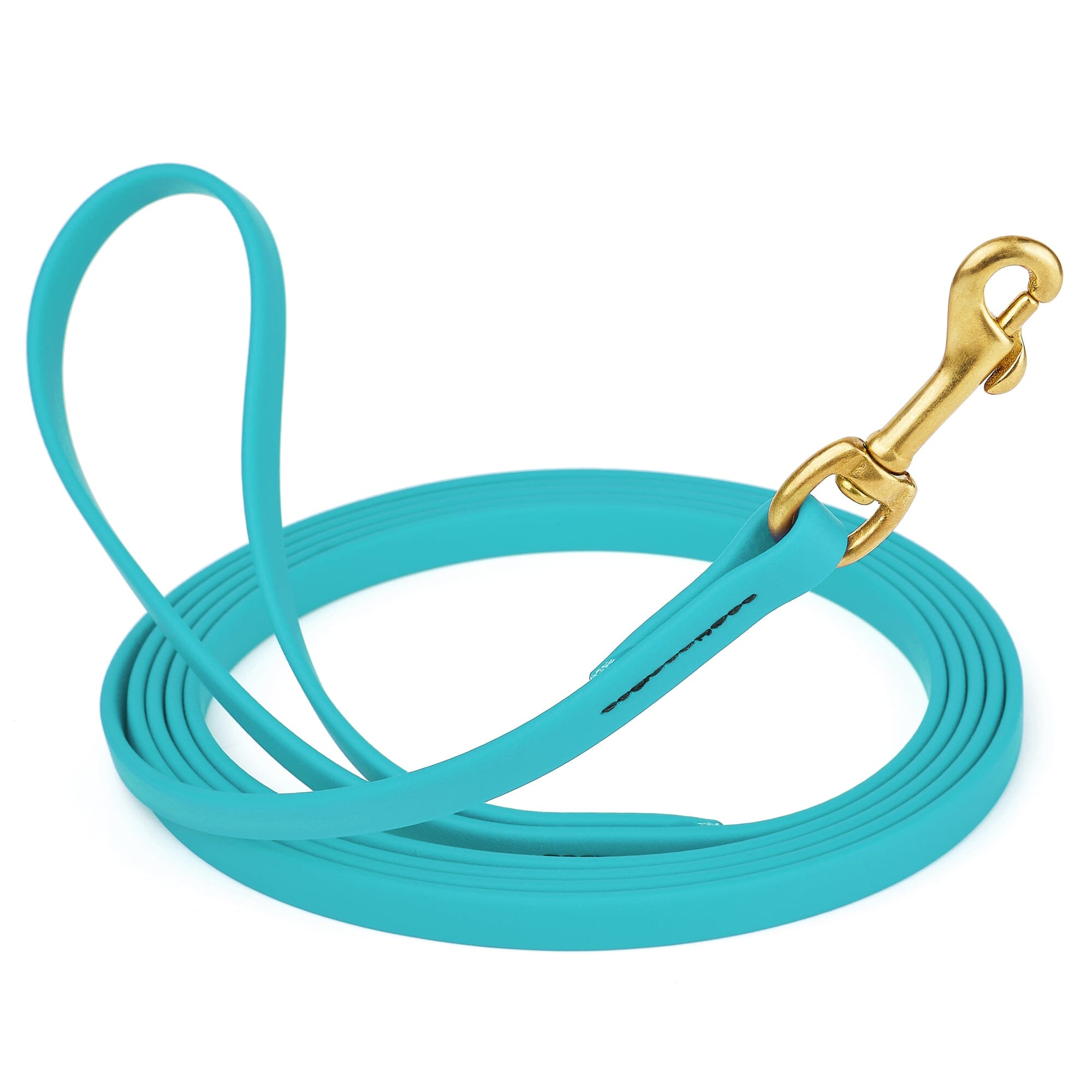 Viper Biothane Long Line 10 ft Lead with Brass Hardware by Dogline
