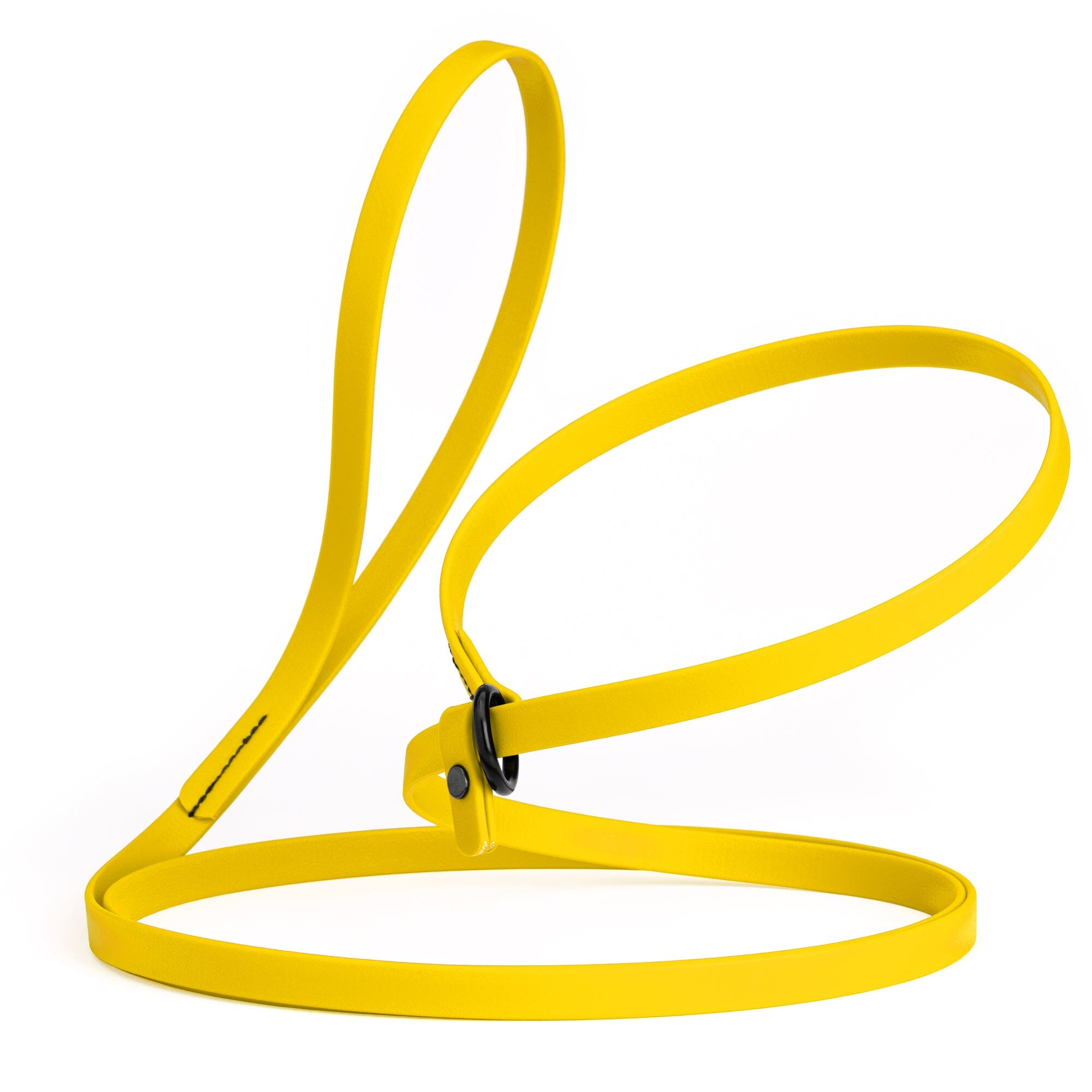 Biothane Slip Lead for Dogs, 5FT and 7FT by Dogline