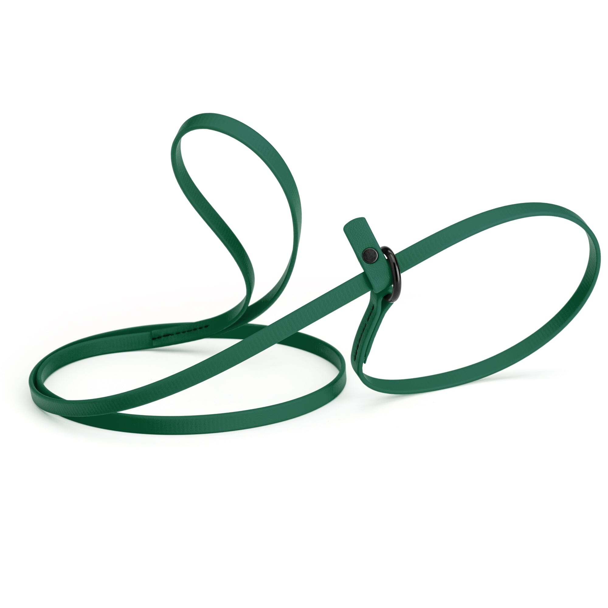 Biothane Slip Lead for Dogs, 5FT and 7FT by Dogline