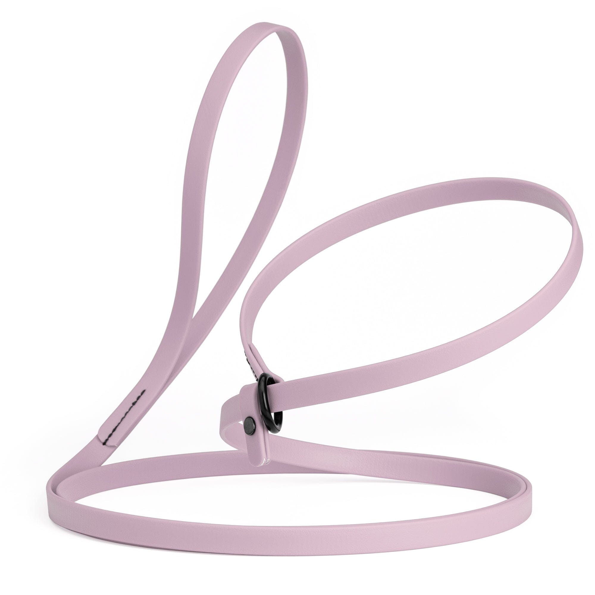 Biothane Slip Lead for Dogs, 5FT and 7FT by Dogline