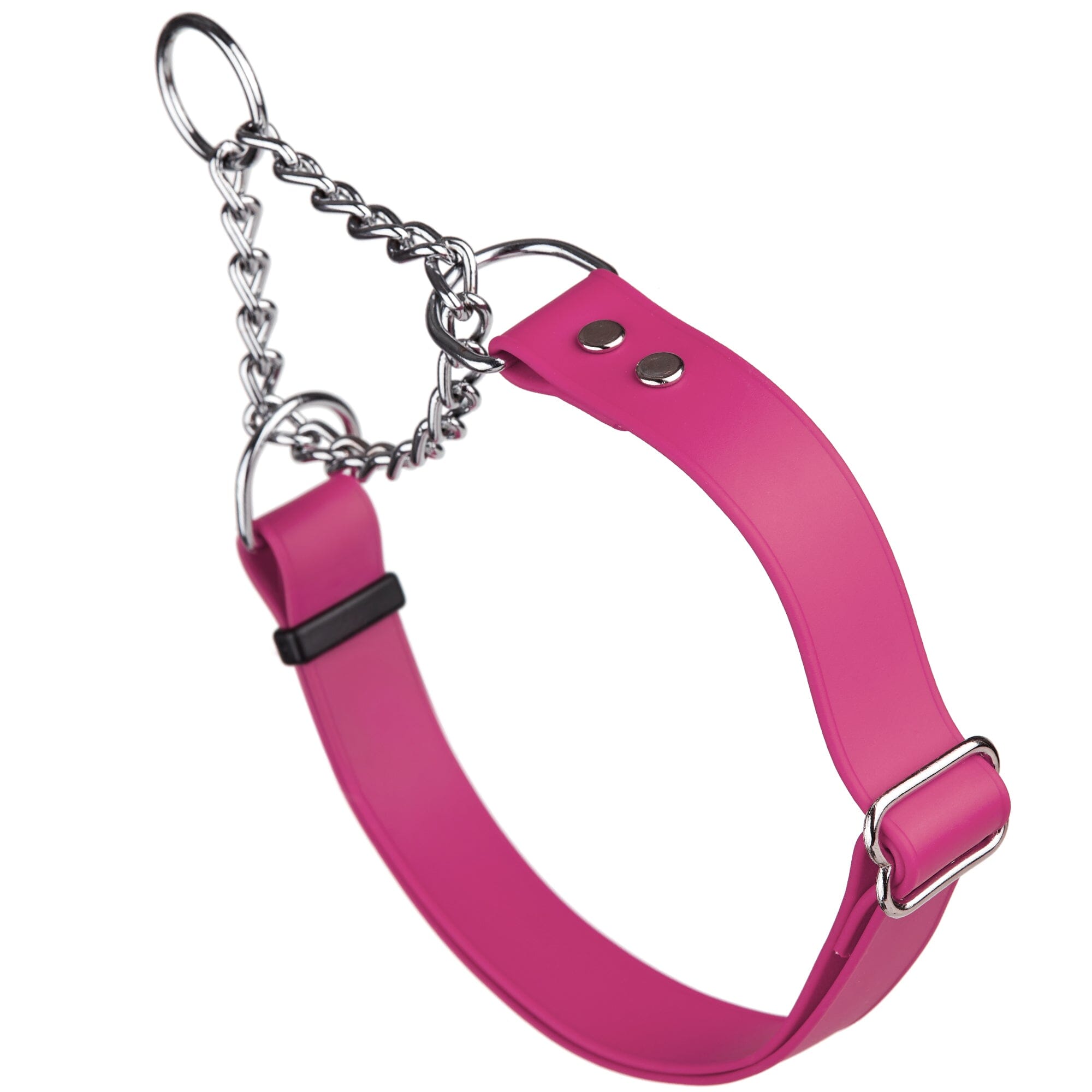 Biothane Adjustable Martingale Collar for Dogs