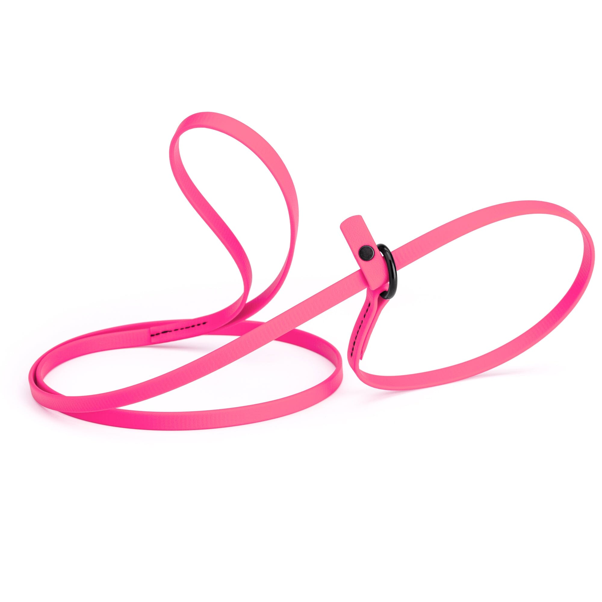 Biothane Slip Lead for Dogs, 5FT and 7FT by Dogline