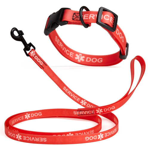 Biothane Service Dog Collar Or Leash by Dogline