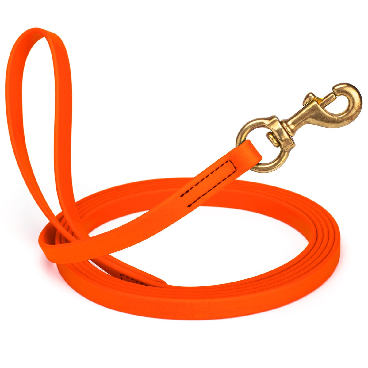 Viper Biothane Long Line 10 ft Lead with Brass Hardware by Dogline