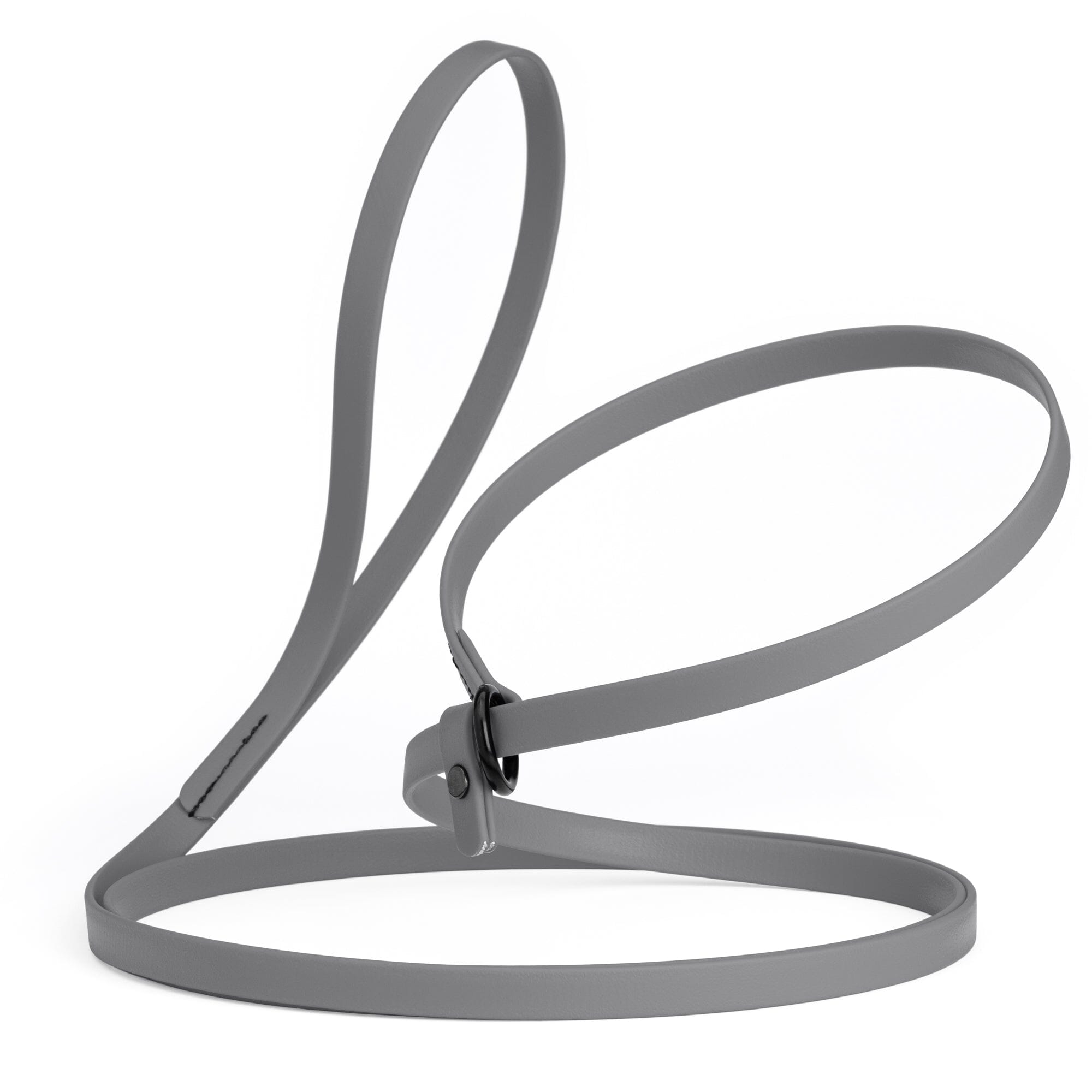 Biothane Slip Lead for Dogs, 5FT and 7FT by Dogline