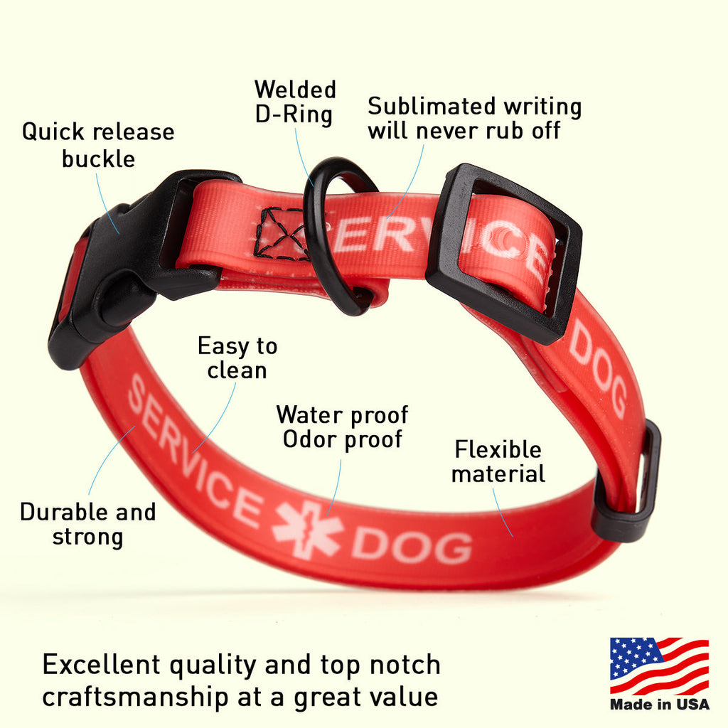 Biothane Service Dog Collar Or Leash by Dogline