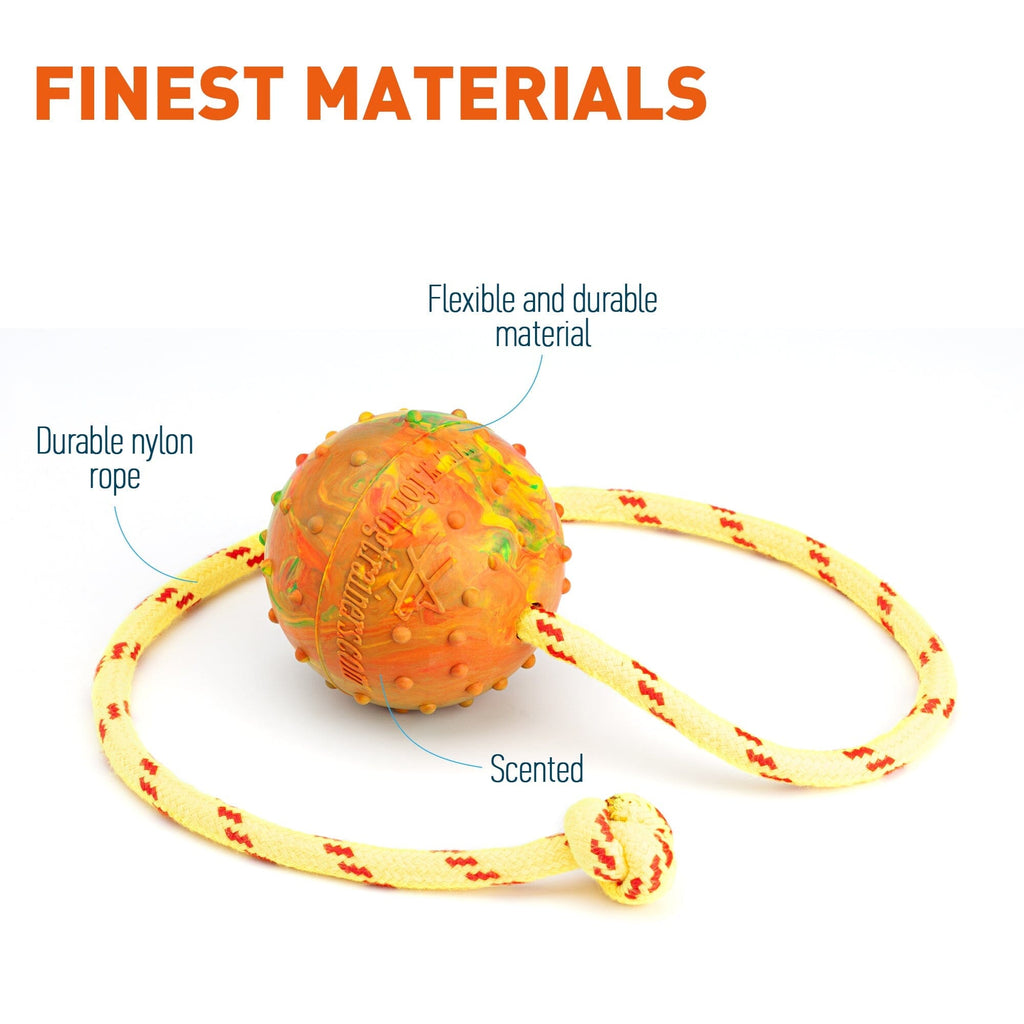 FDT Solid Rubber Dog Ball on Rope, Large - Diameter 2.75" (7 cm) by Dogline