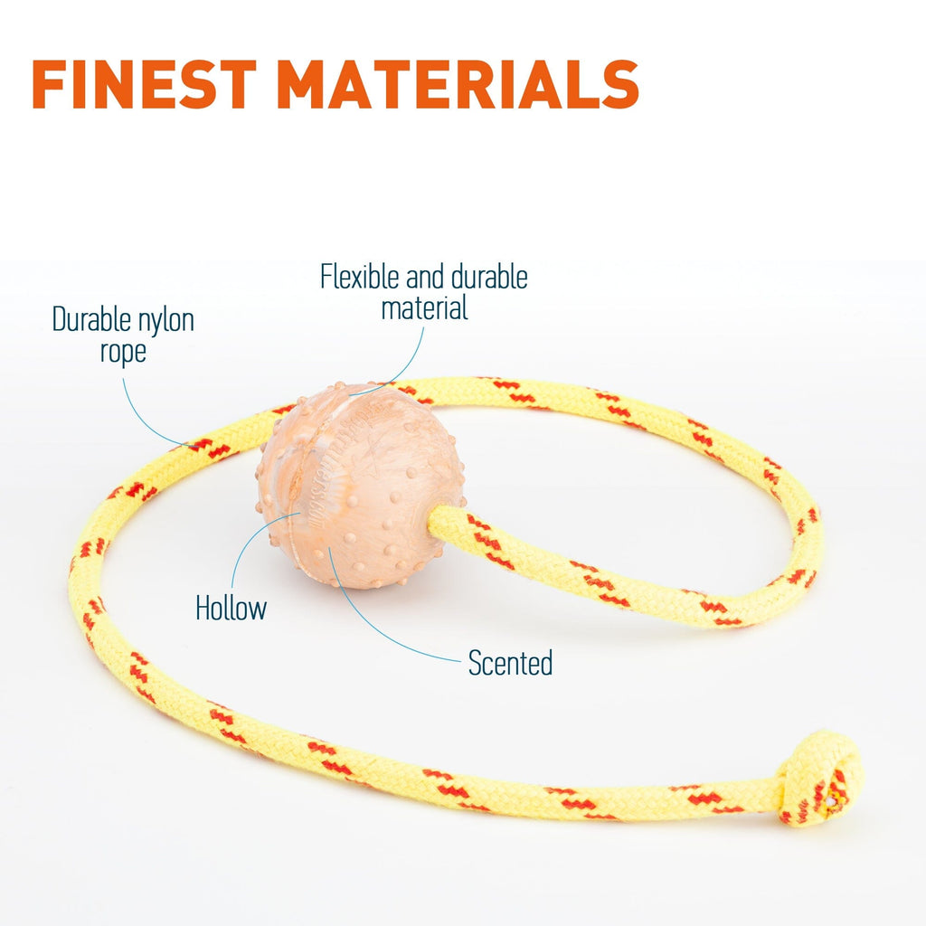 FDT Rubber Dog Ball on Rope, Small - Diameter 2" (5 cm) by Dogline