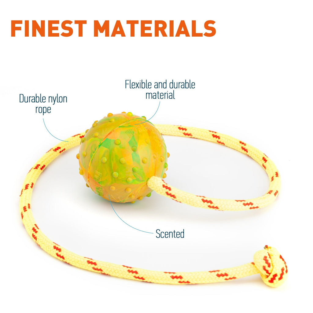 FDT Rubber Dog Ball on Rope, Medium - Diameter 2.3" (6 cm) by Dogline