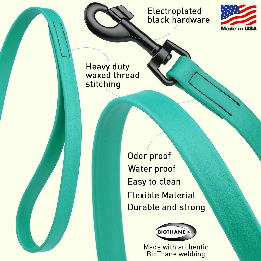 Biothane Waterproof Traffic Lead for Dogs, 2 ft by Dogline