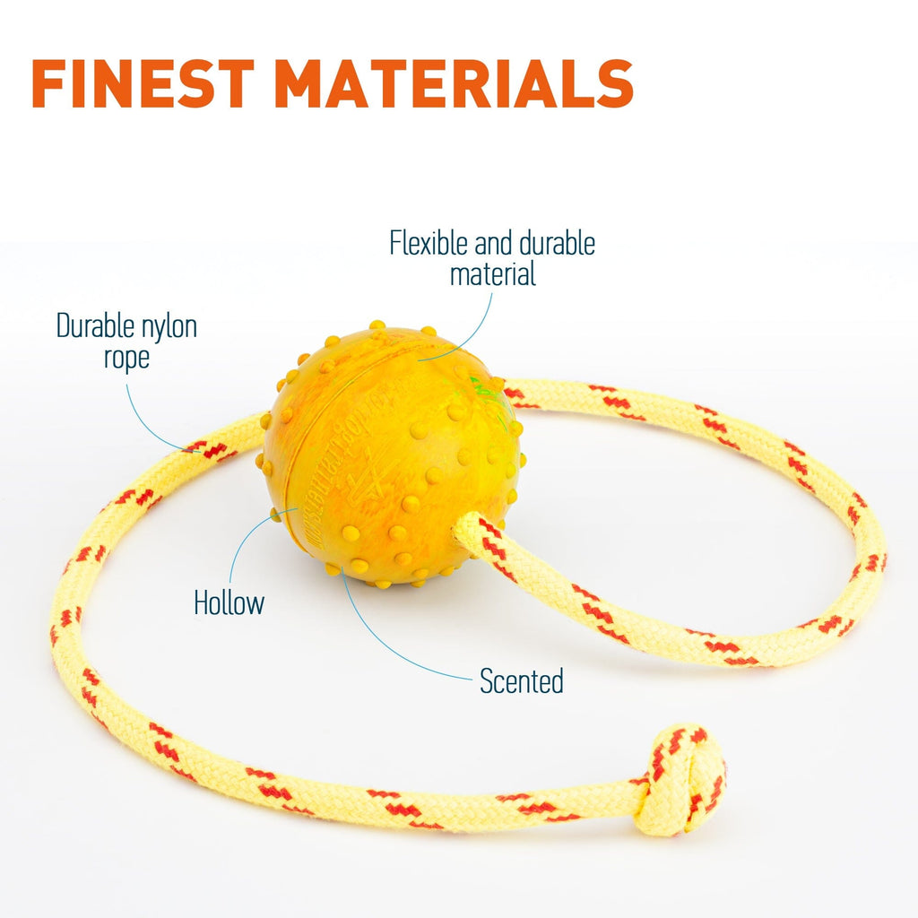 FDT Rubber Dog Ball on Rope, Medium - Diameter 2.3" (6 cm) by Dogline