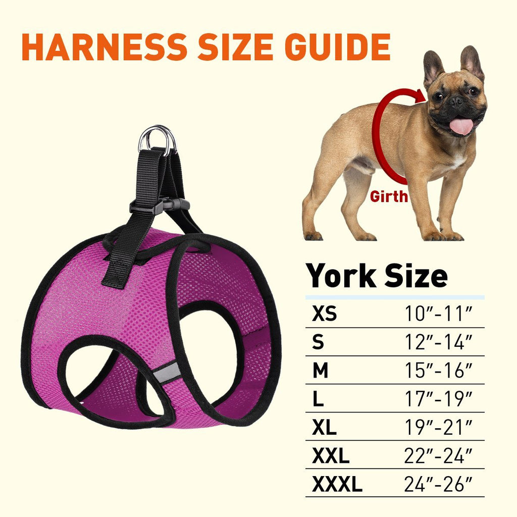 York Mesh Dog Harness by Dogline