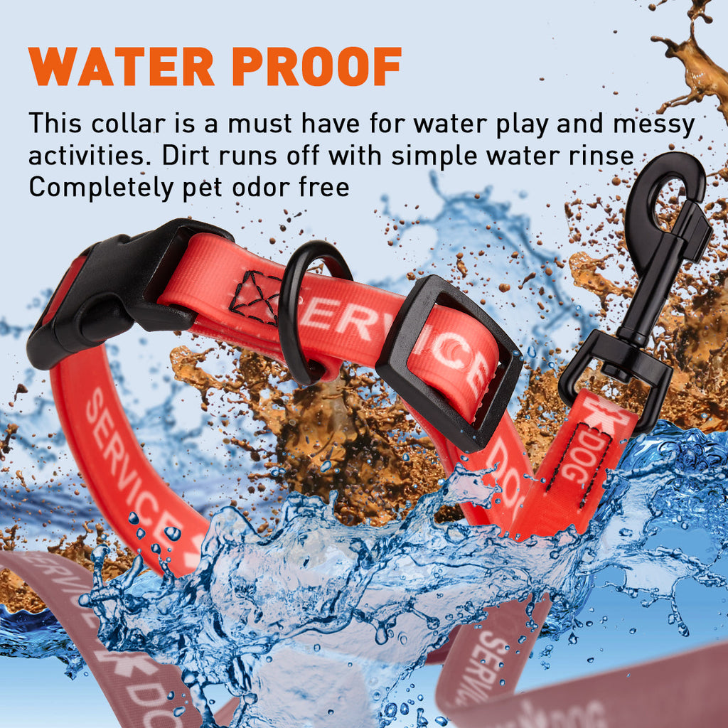 Biothane Service Dog Collar Or Leash by Dogline