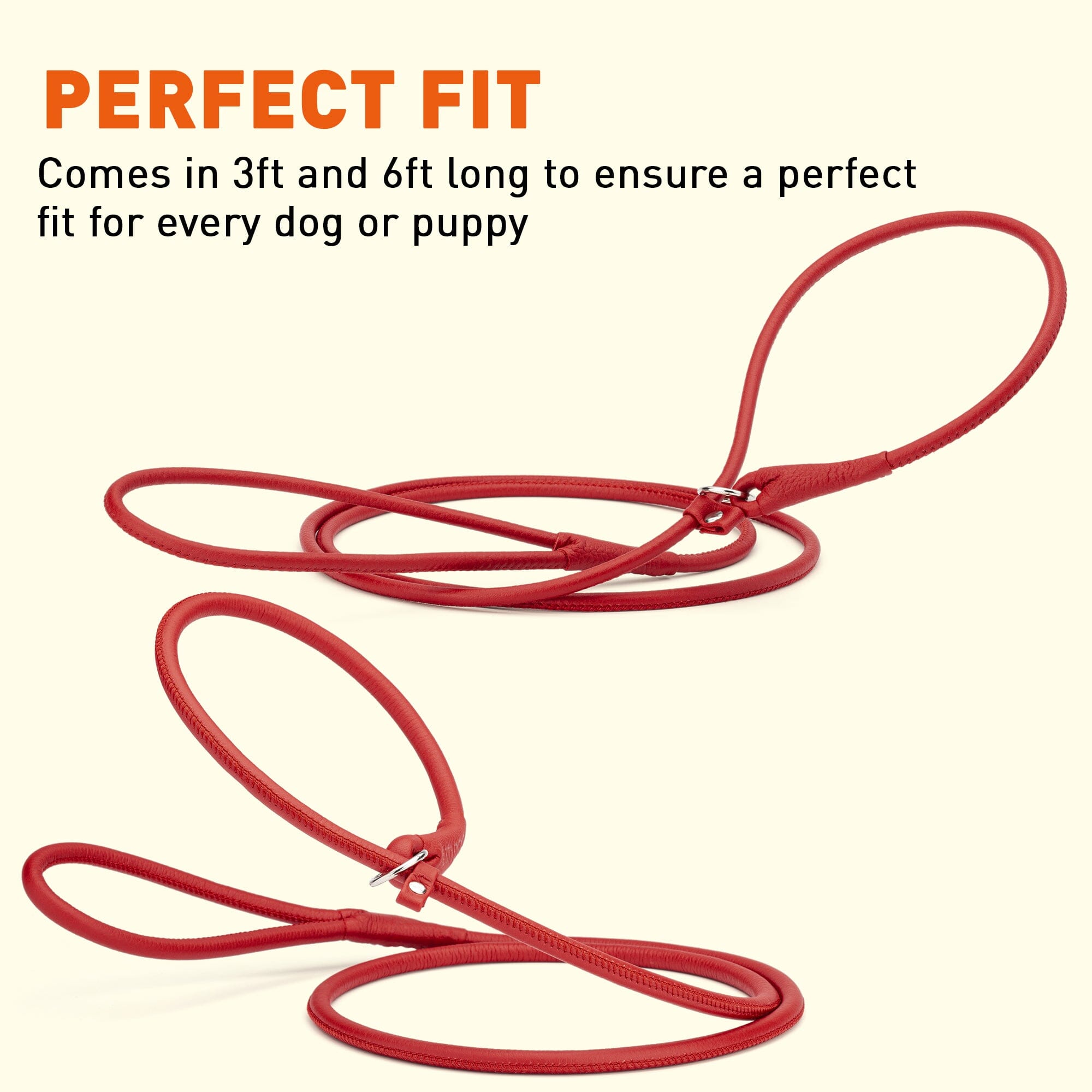 Soft Leather Round Slip Lead for Dogs by Dogline