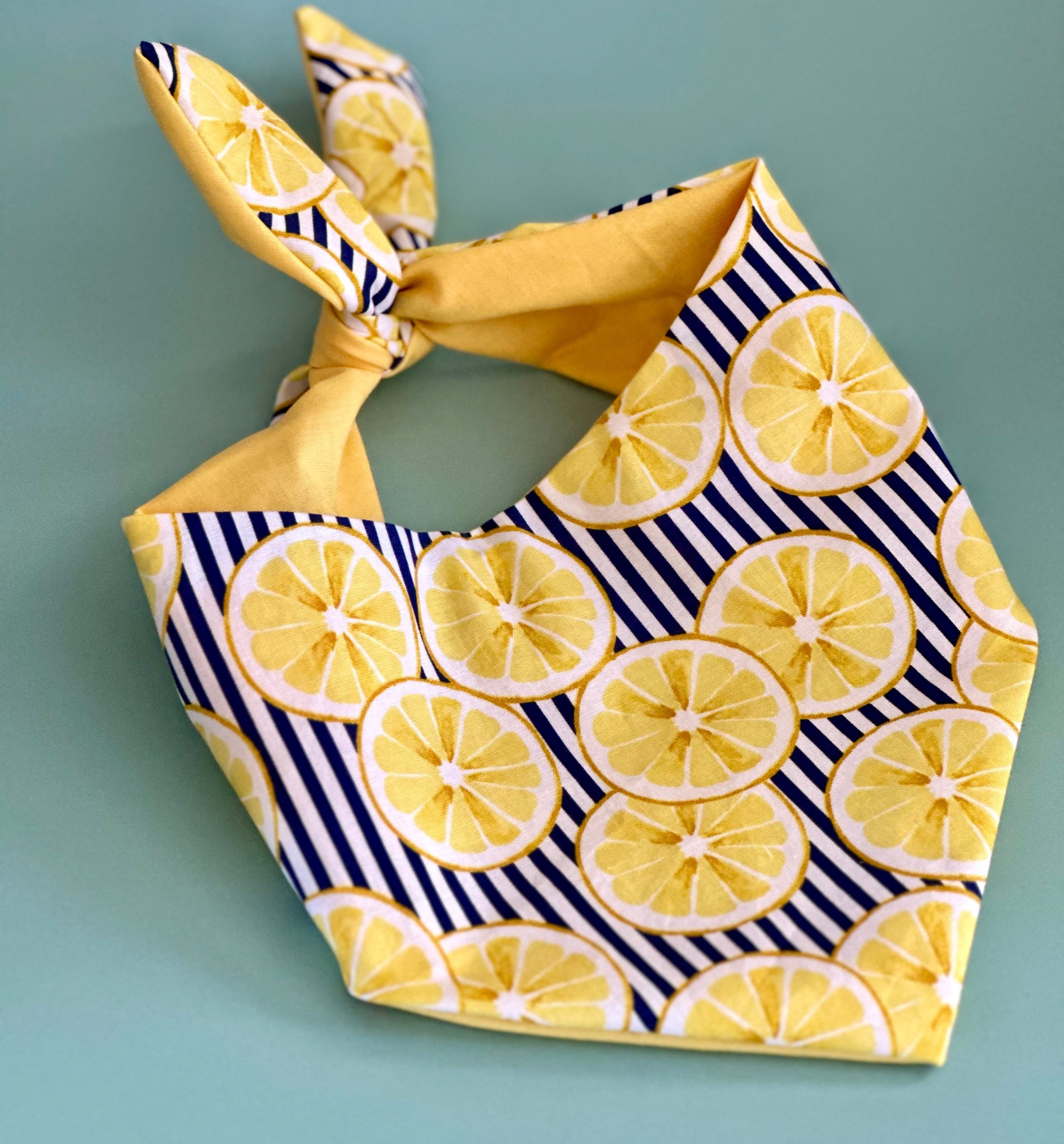Lemon Dog Bandana by Happy Tails Outfitters